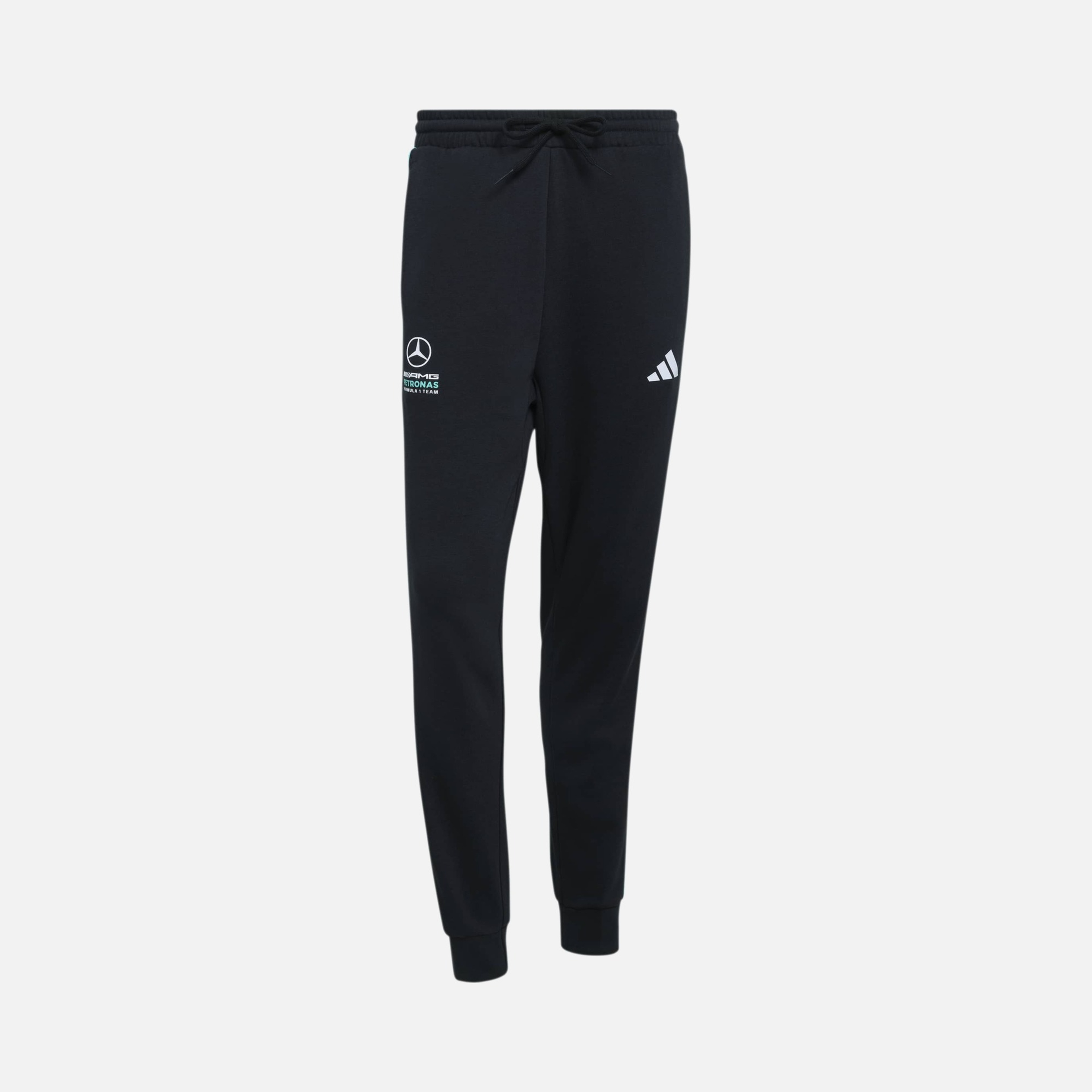 adidas Mercedes - Amg Petronas F1 Team Dna Erkek Pantolon