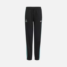 adidas Mercedes - Amg Petronas F1 Team Dna Çocuk Pantolon