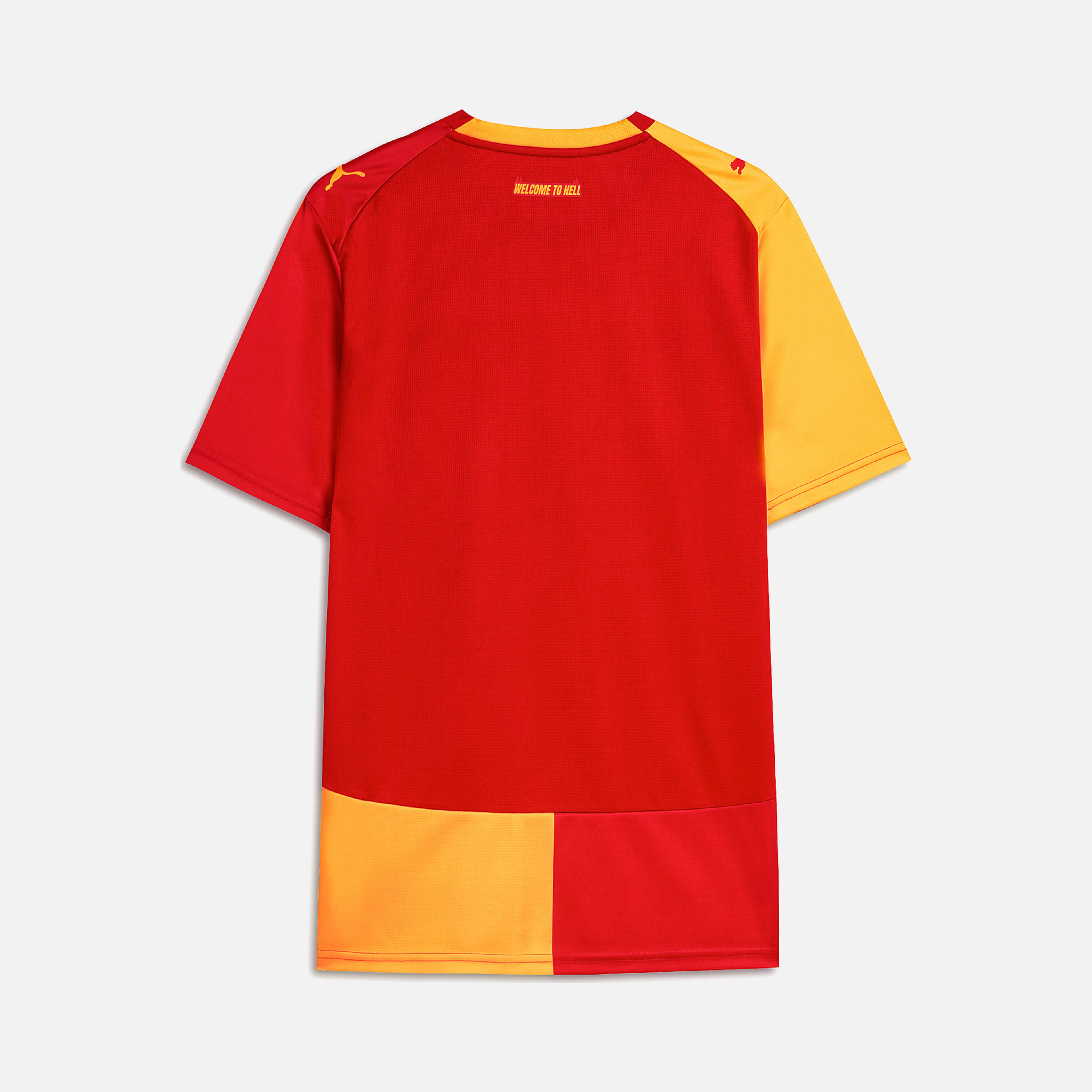 Puma Galatasaray 26/27 Erkek İç Saha Forma