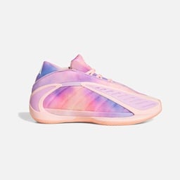 adidas Anthony Edwards 2 Erkek Basketbol Ayakkabı