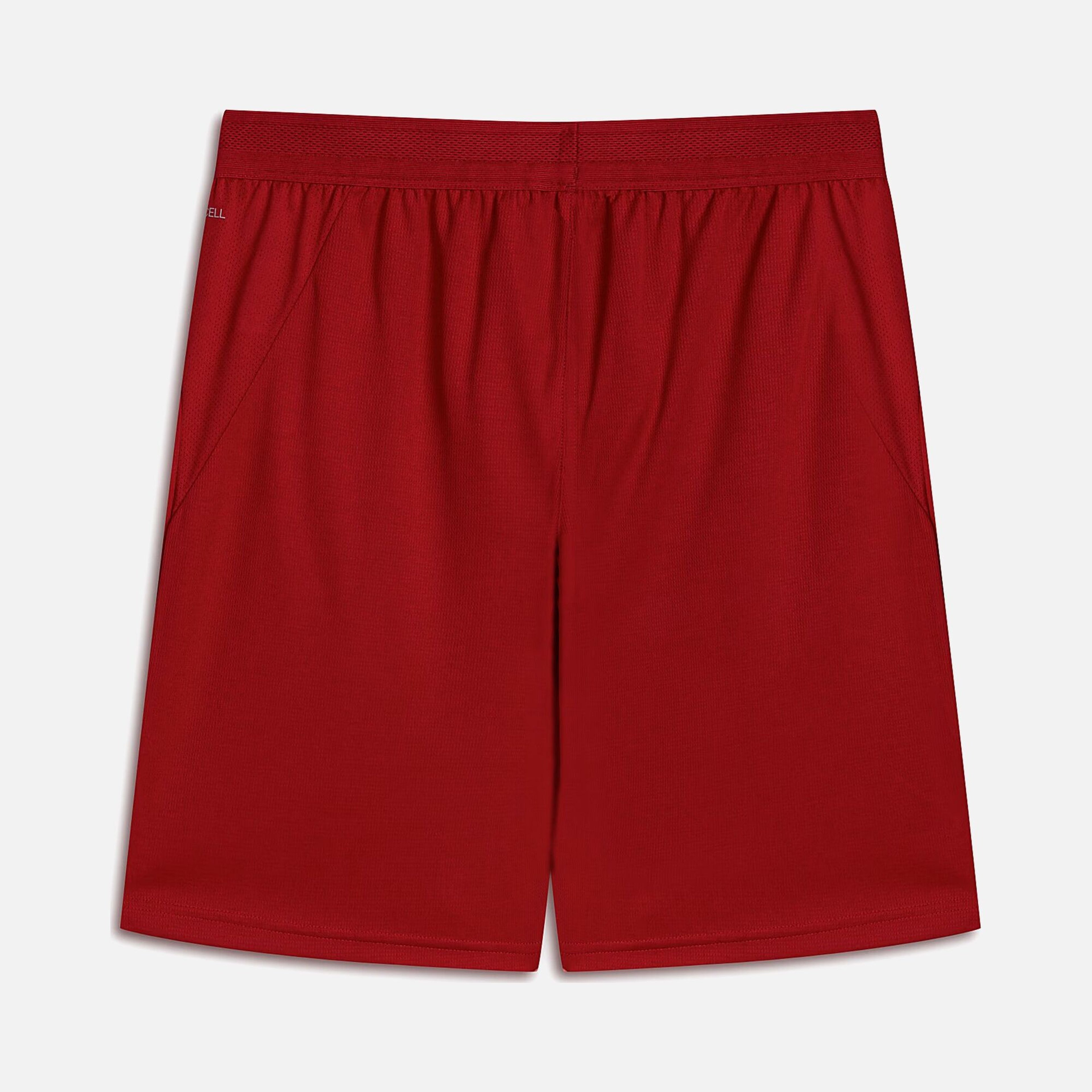 Puma Galatasaray 26/27 Erkek Futbol Şort