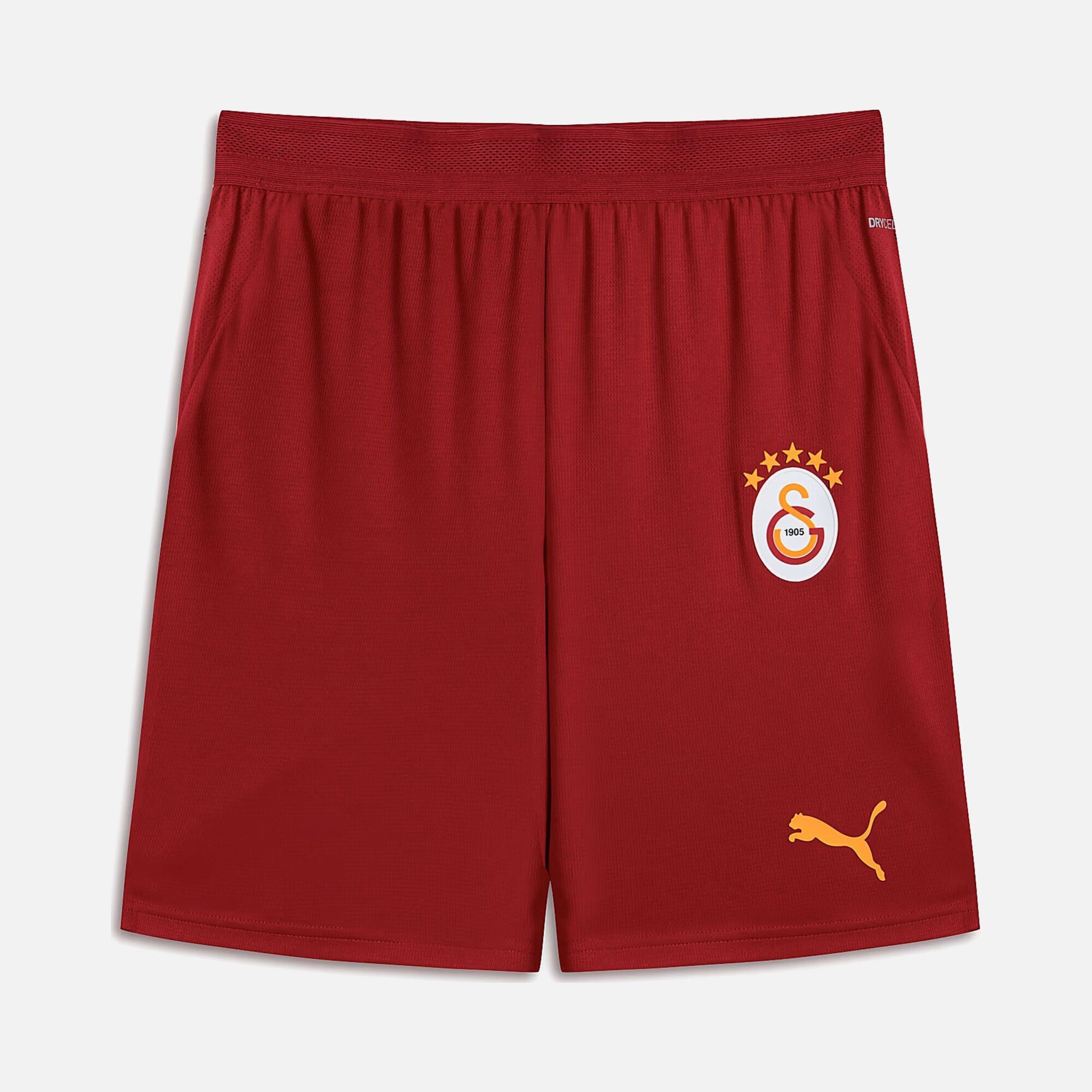 Puma Galatasaray 26/27 Erkek Futbol Şort