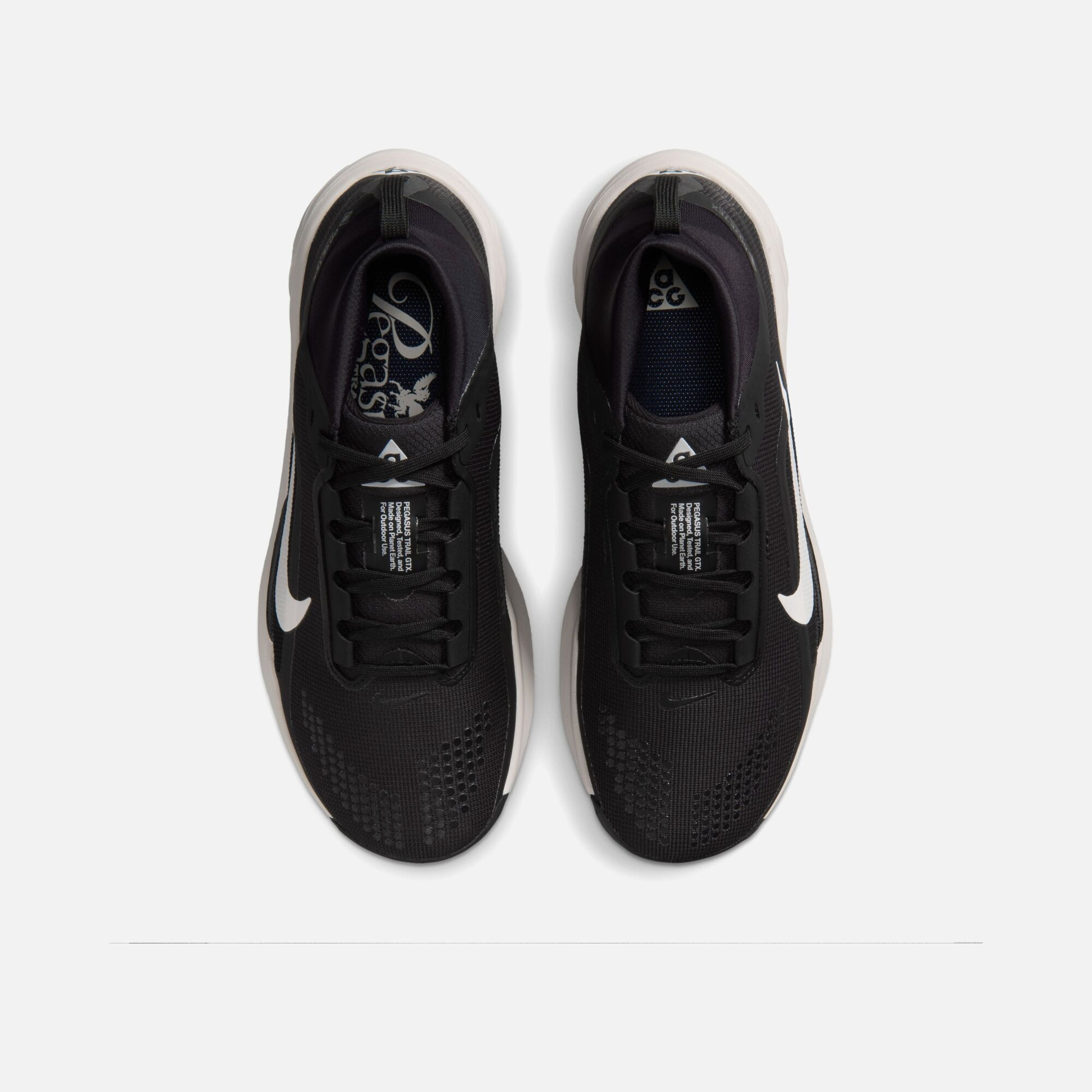 Nike ACG Pegasus Trail GTX Kadın Koşu Ayakkabısı