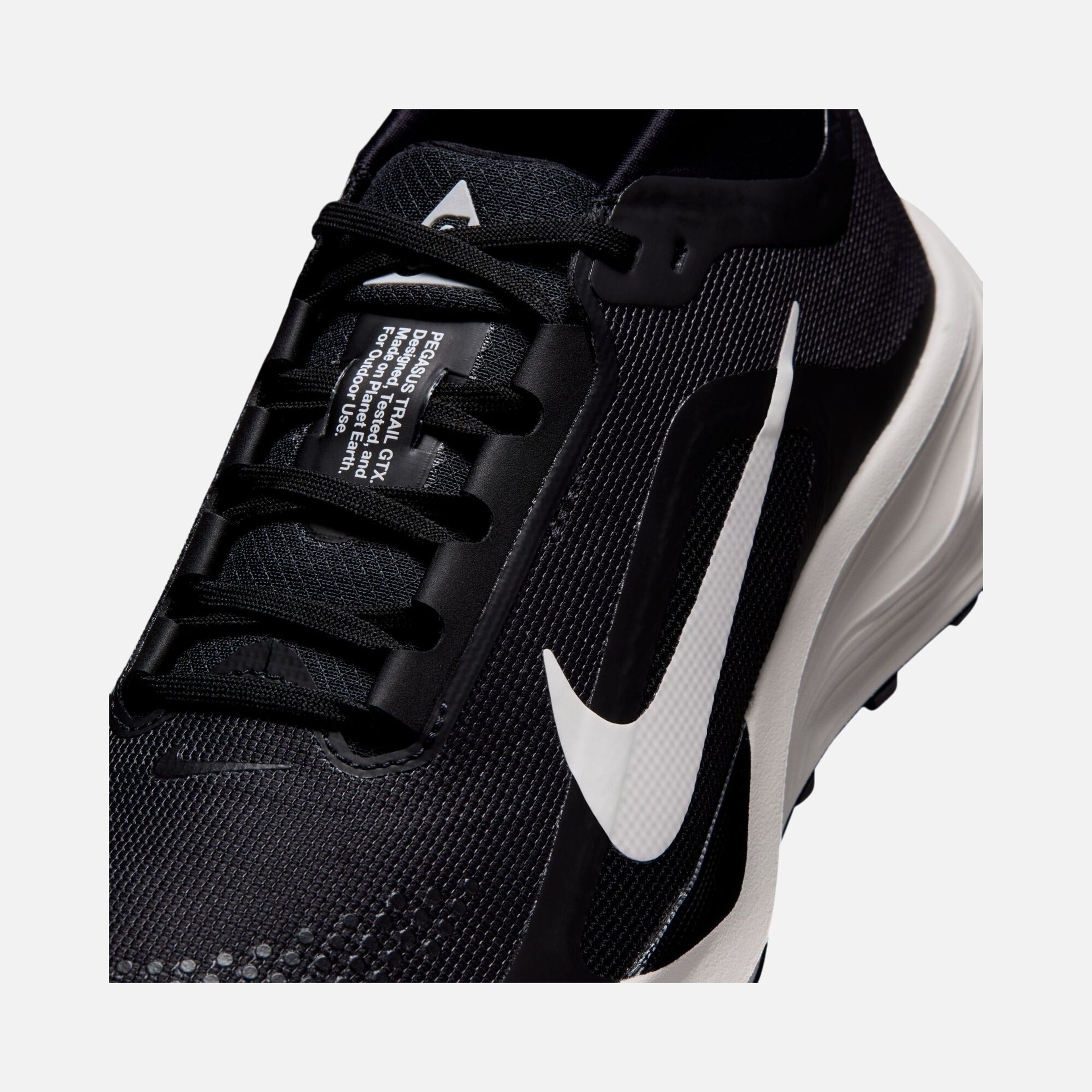 Nike ACG Pegasus Trail GTX Kadın Koşu Ayakkabısı