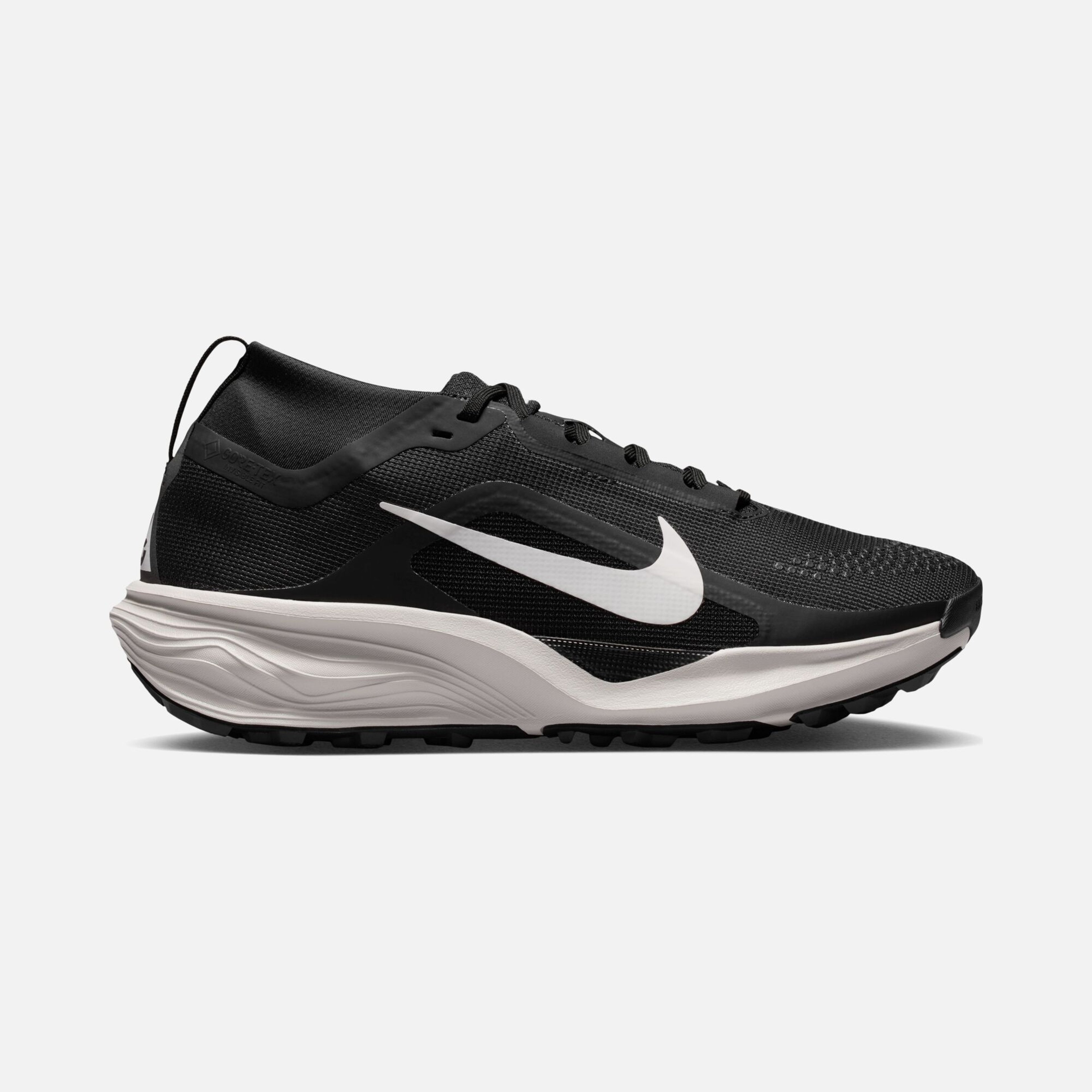 Nike ACG Pegasus Trail GTX Kadın Koşu Ayakkabısı
