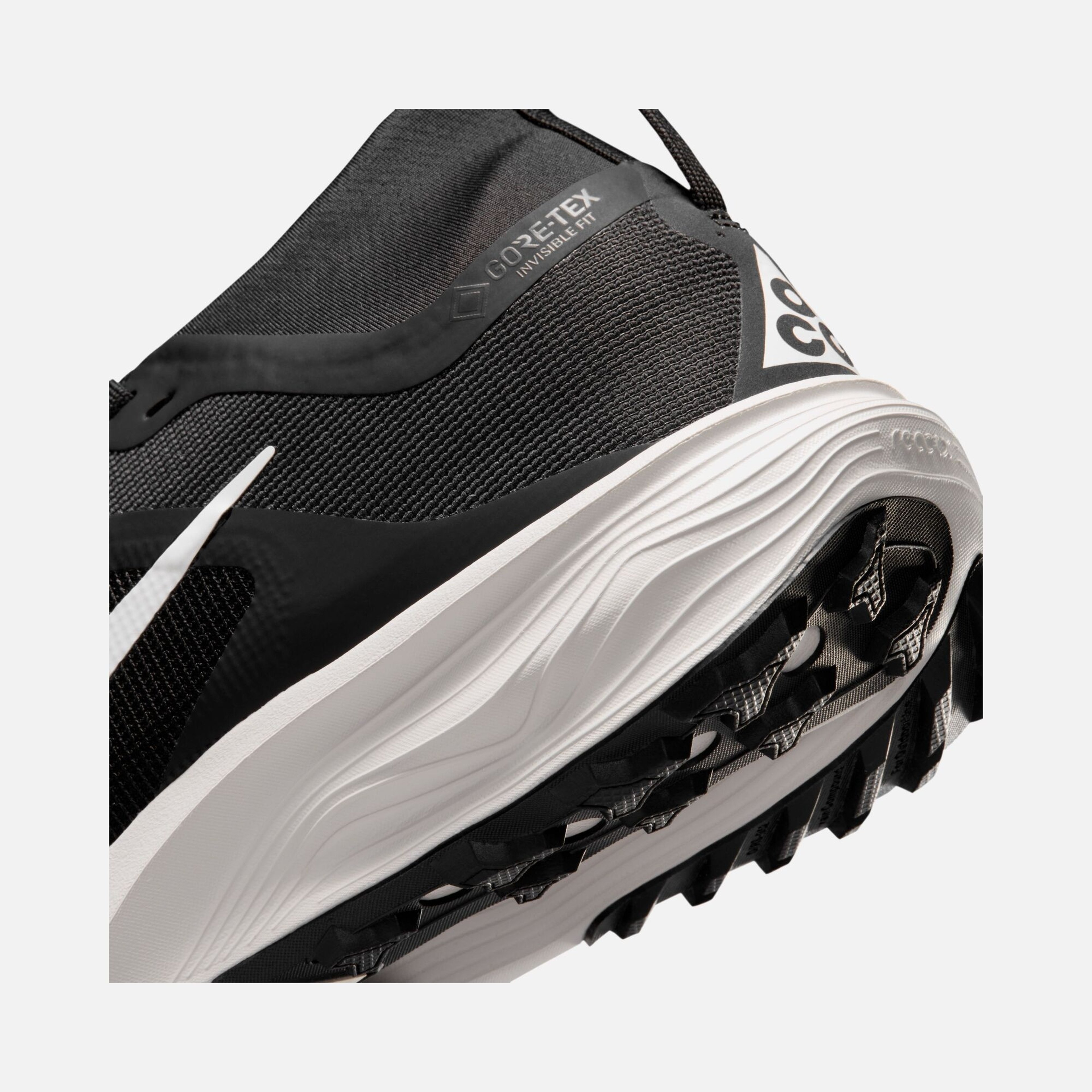 Nike ACG Pegasus Trail GTX Kadın Koşu Ayakkabısı