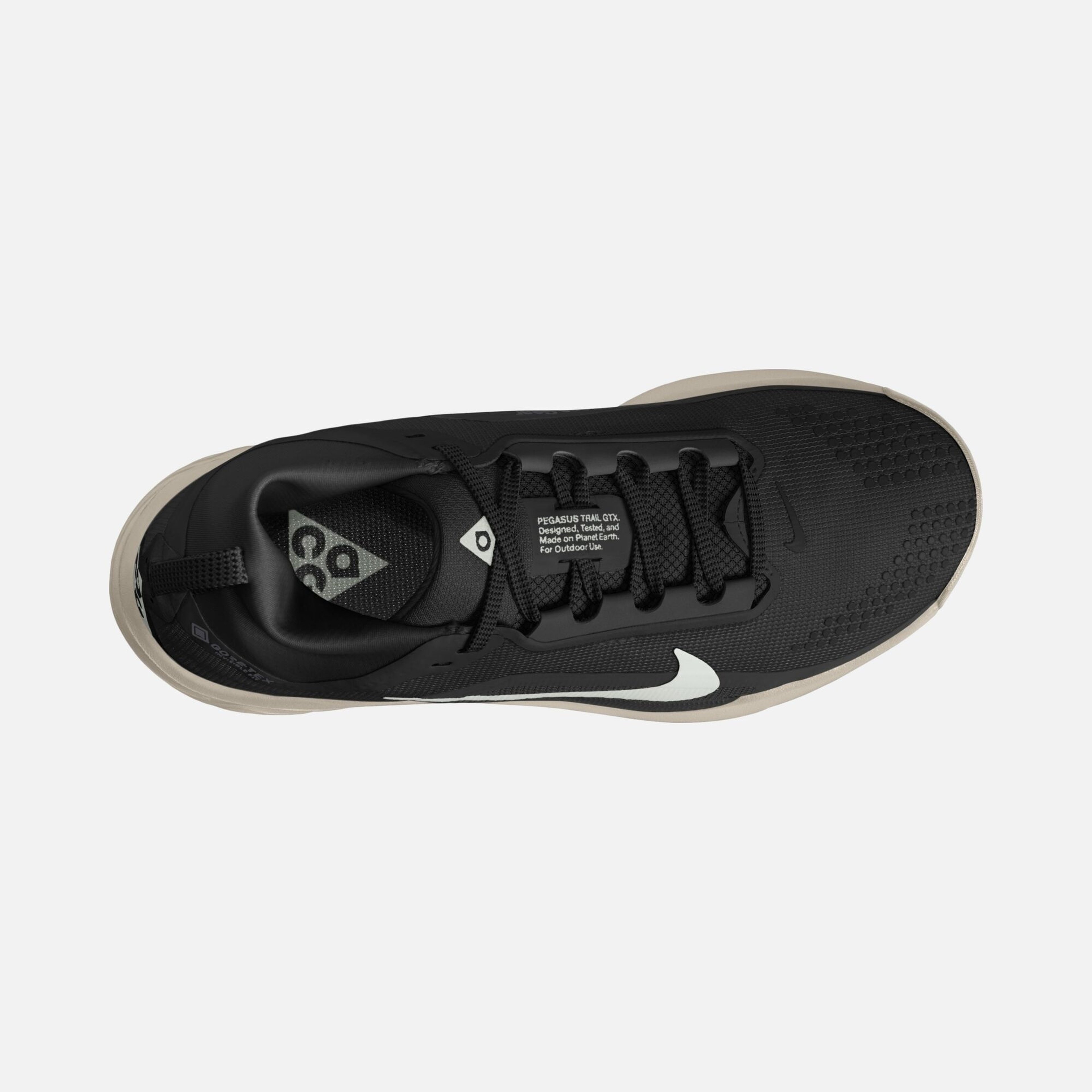 Nike ACG Pegasus Trail GTX Kadın Koşu Ayakkabısı