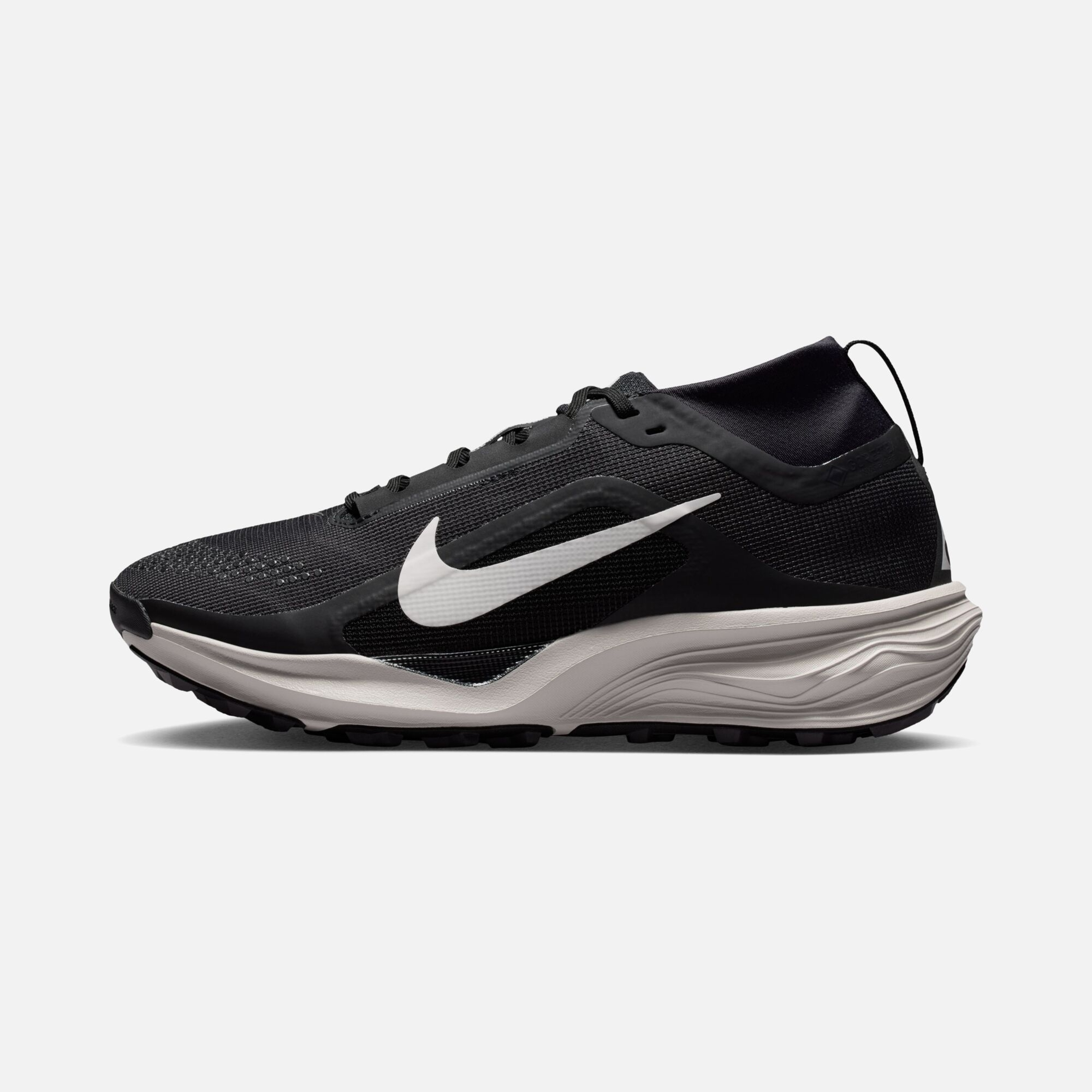 Nike ACG Pegasus Trail GTX Kadın Koşu Ayakkabısı