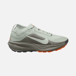 Nike ACG Pegasus Trail GTX Kadın Koşu Ayakkabısı
