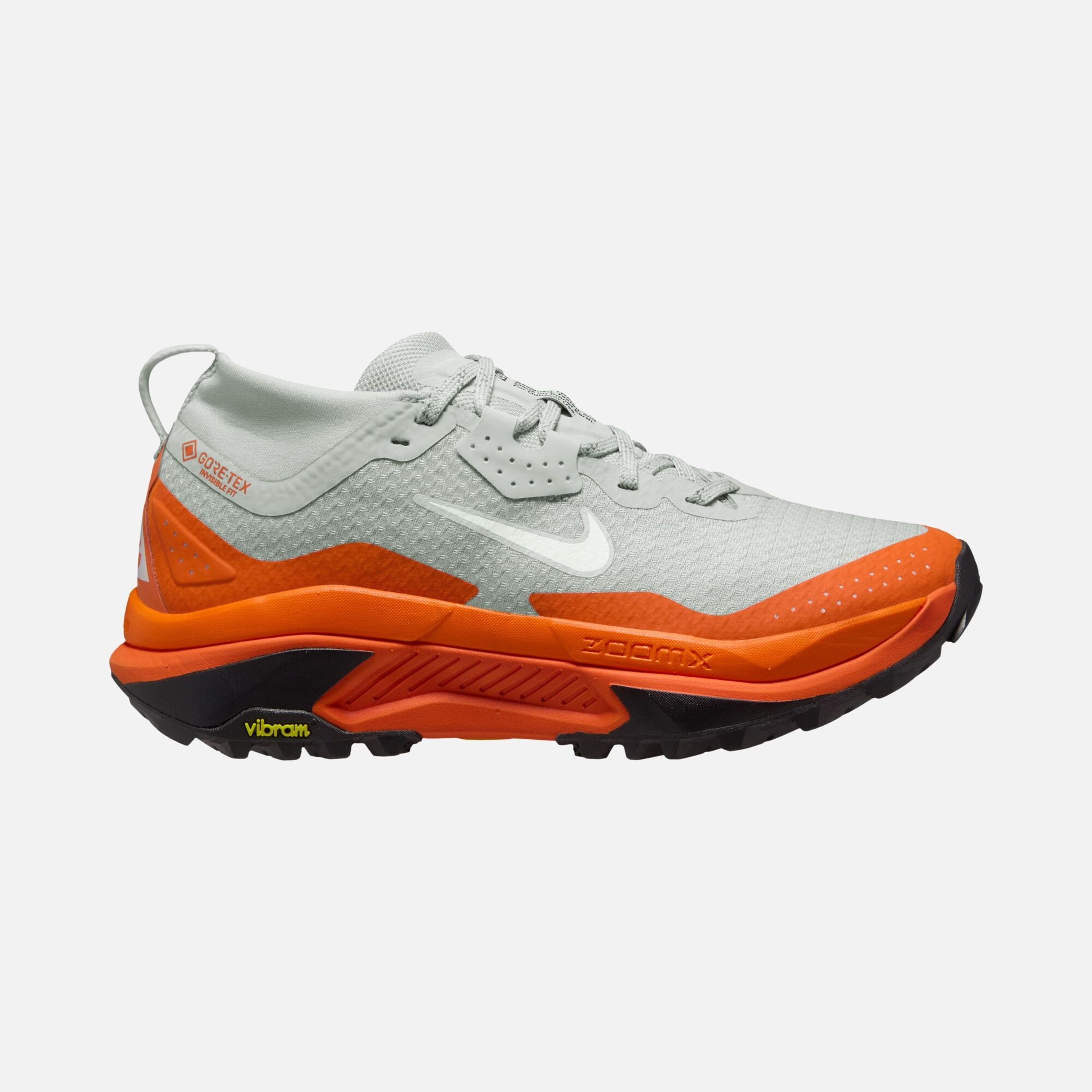 Nike Acg Zegama Trail Gtx Erkek Koşu Ayakkabısı
