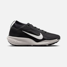 Nike ACG Pegasus Trail GTX Erkek Koşu Ayakkabısı