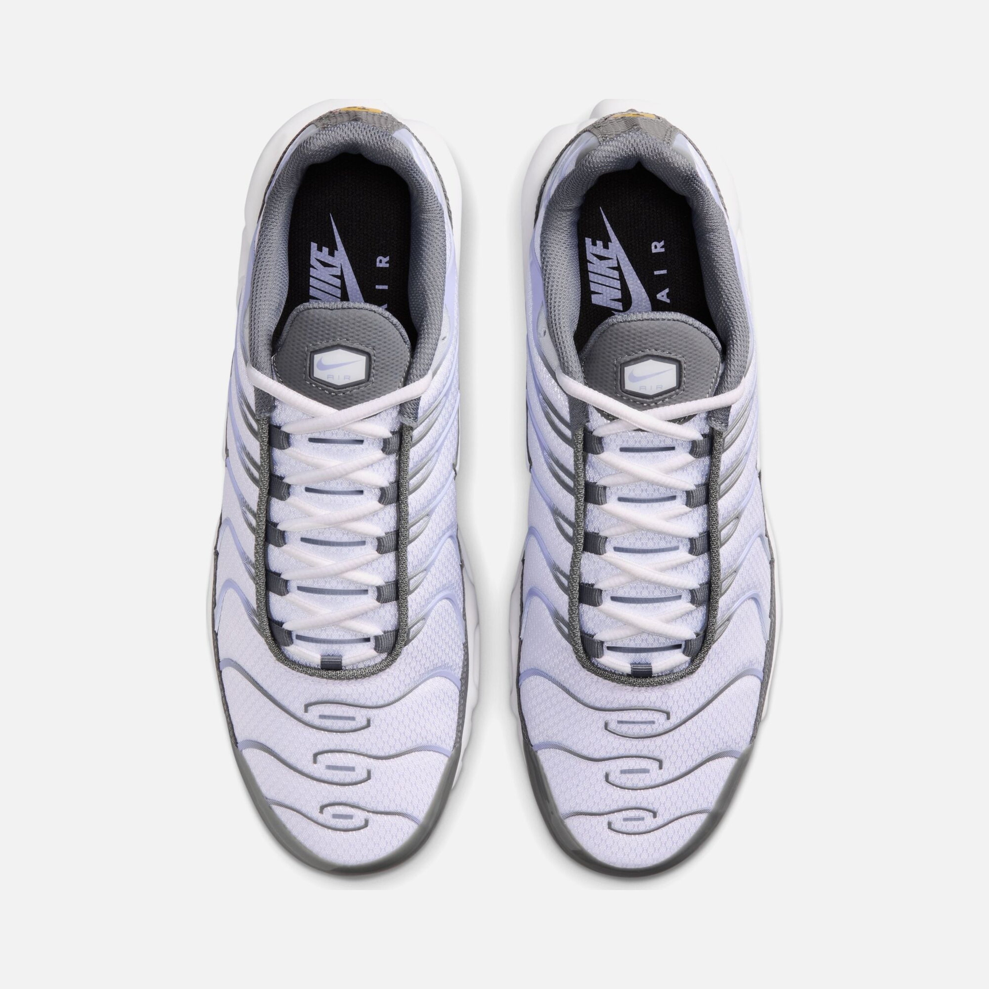Nike Air Max Plus "Smoke Grey" Erkek Spor Ayakkabı