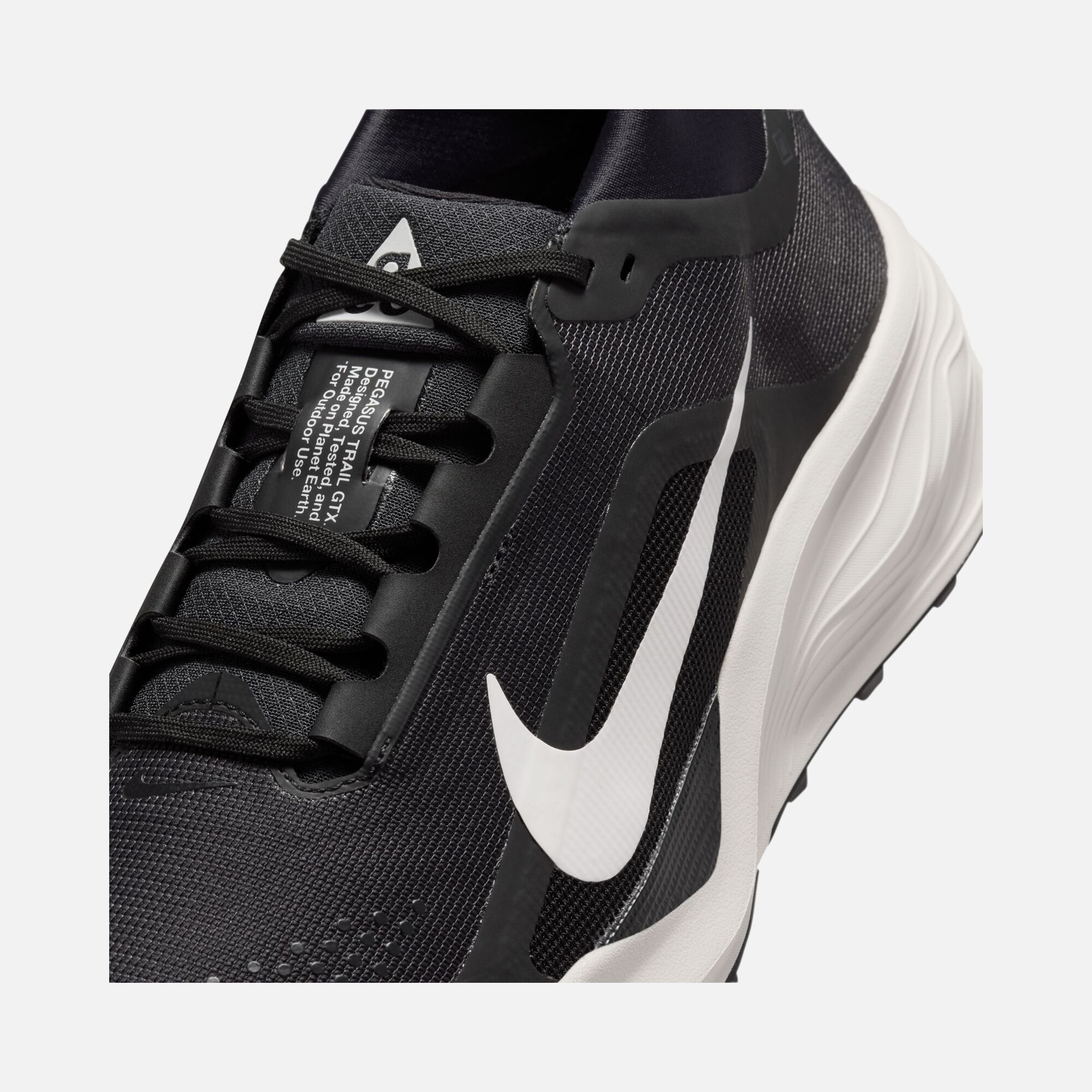 Nike ACG Pegasus Trail GTX Erkek Koşu Ayakkabısı