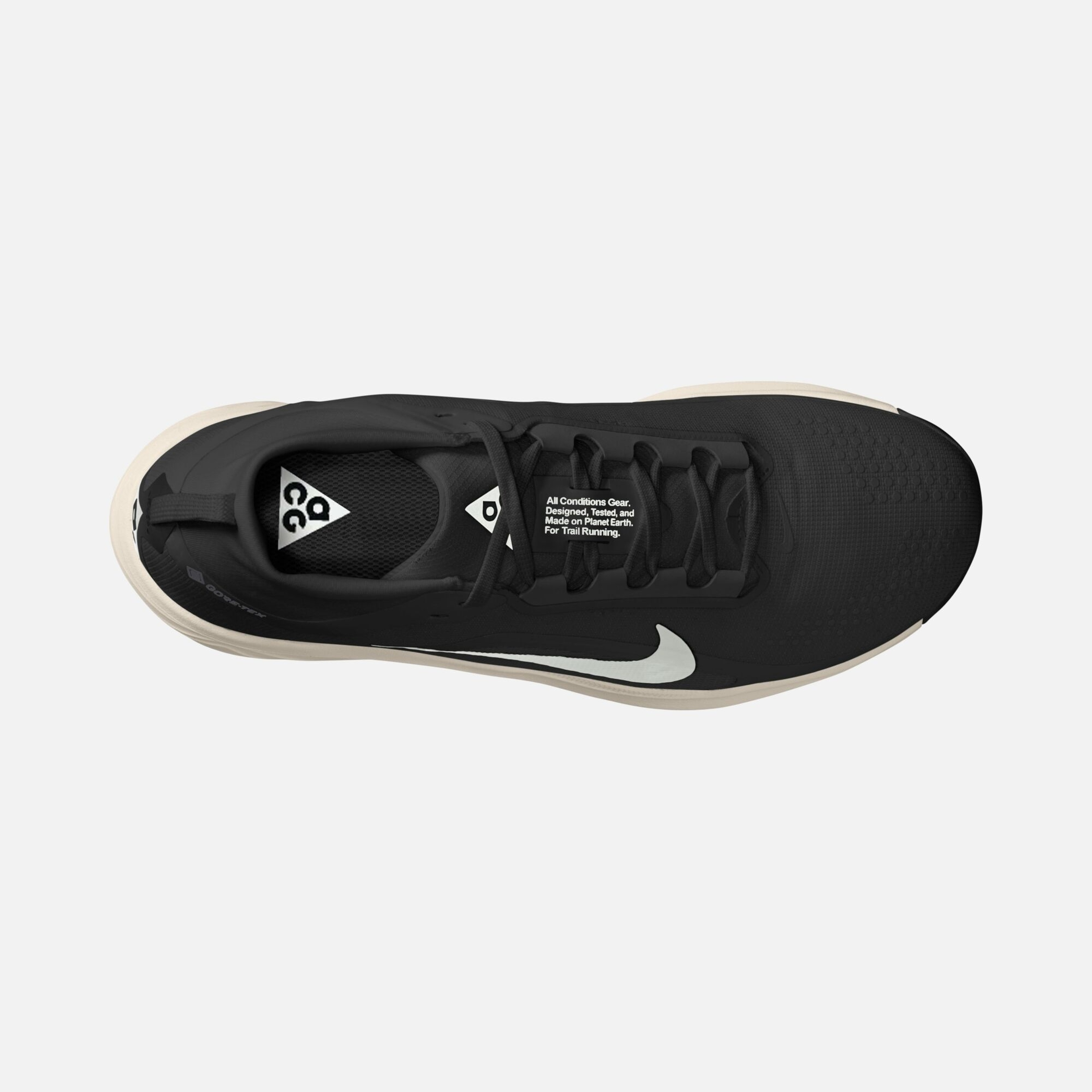 Nike ACG Pegasus Trail GTX Erkek Koşu Ayakkabısı