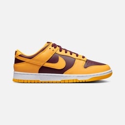 Nike Dunk Low Retro Erkek Spor Ayakkabı