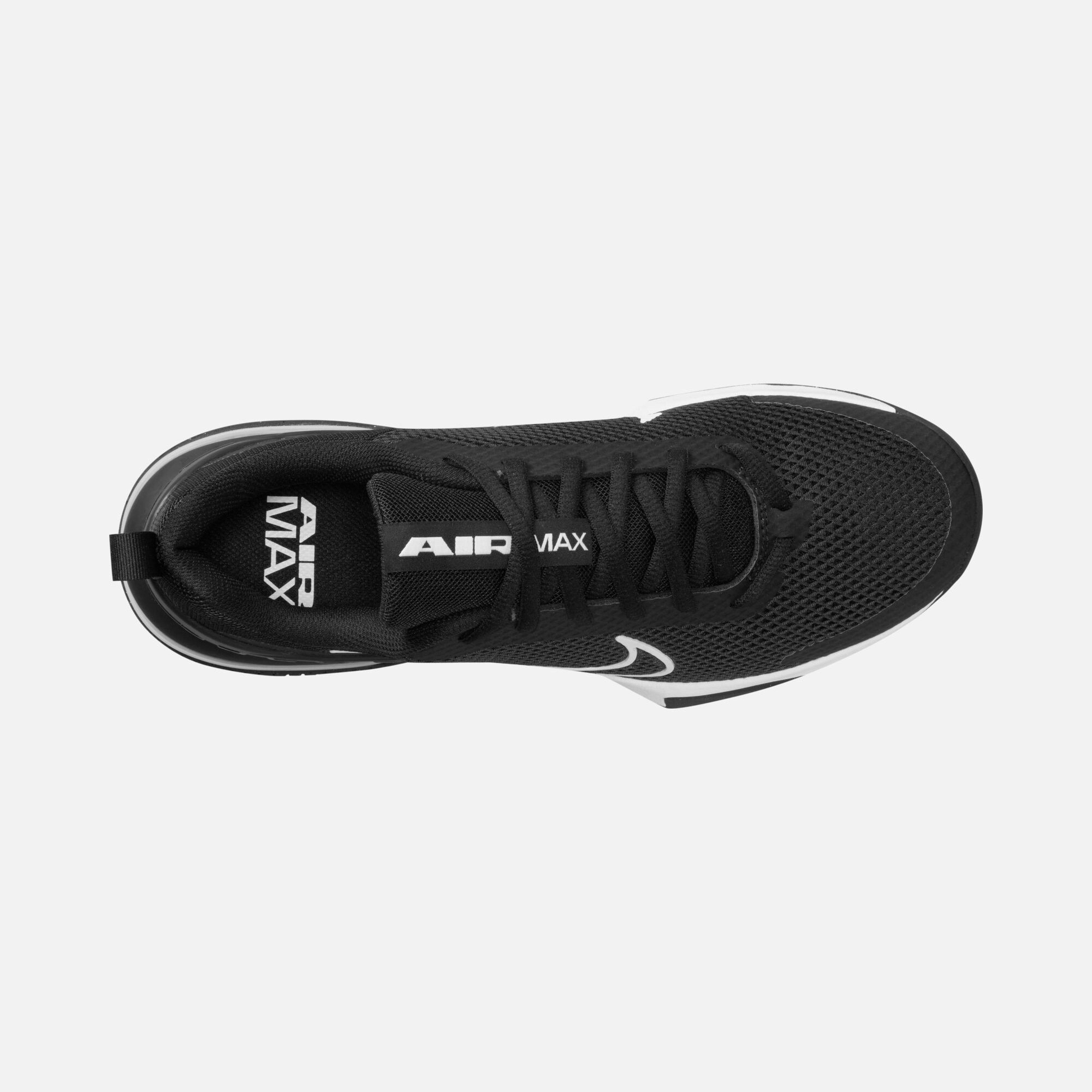 Nike Air Max Alpha Trainer 6 Workout Erkek Spor Ayakkabı