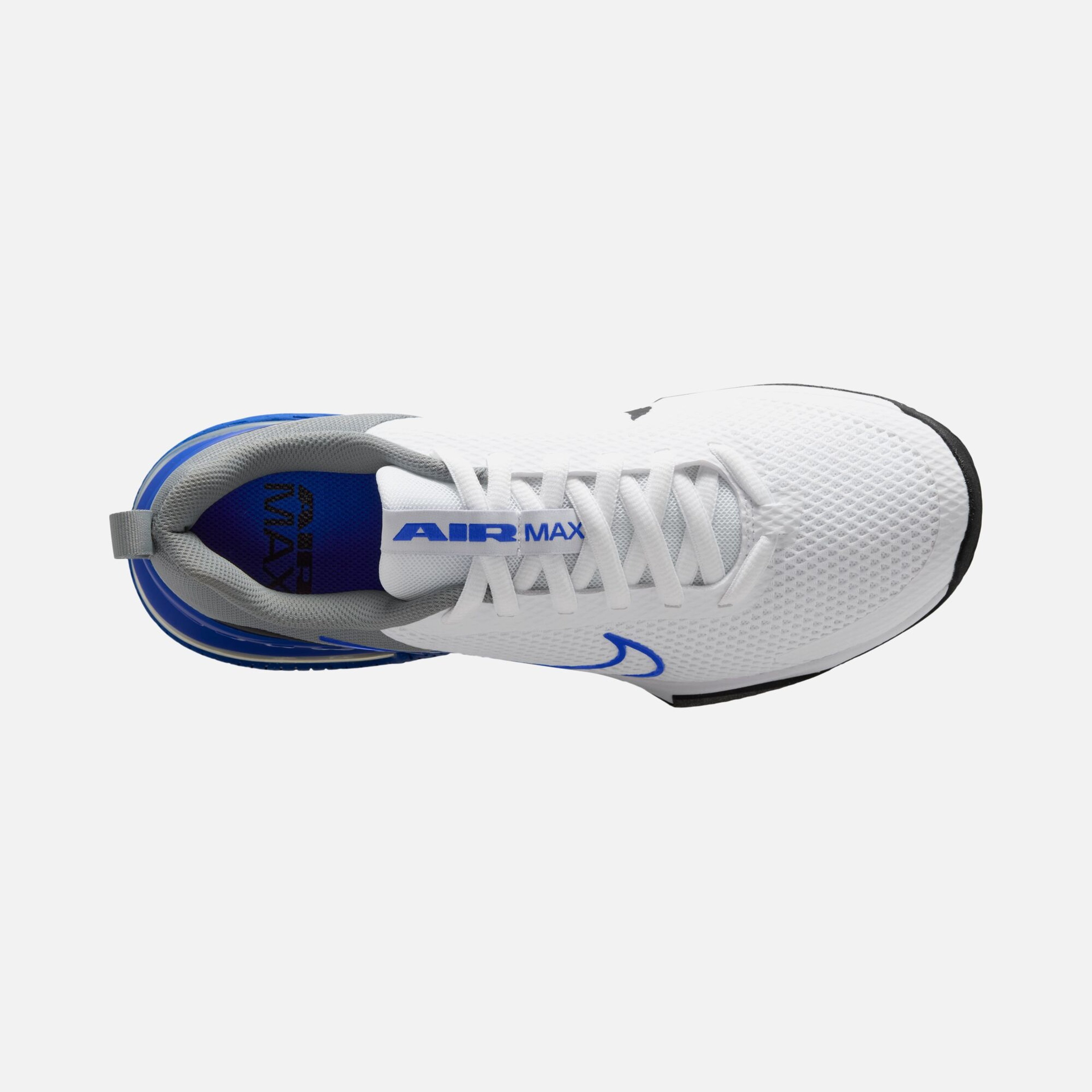 Nike Air Max Alpha Trainer 6 Workout Erkek Spor Ayakkabı