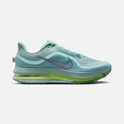 Nike Pegasus Premium Erkek Koşu Ayakkabısı