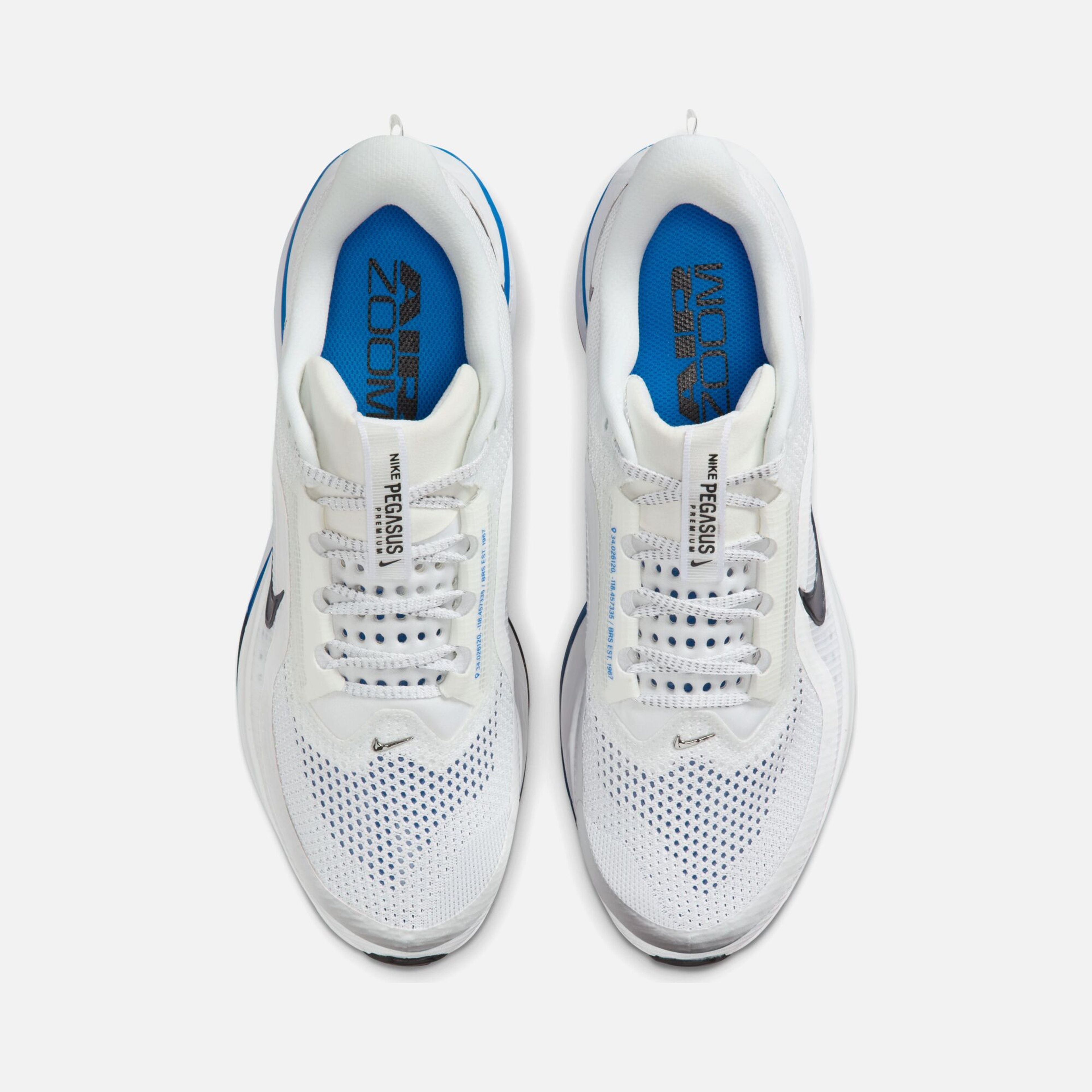 Nike Pegasus Premium Erkek Koşu Ayakkabısı