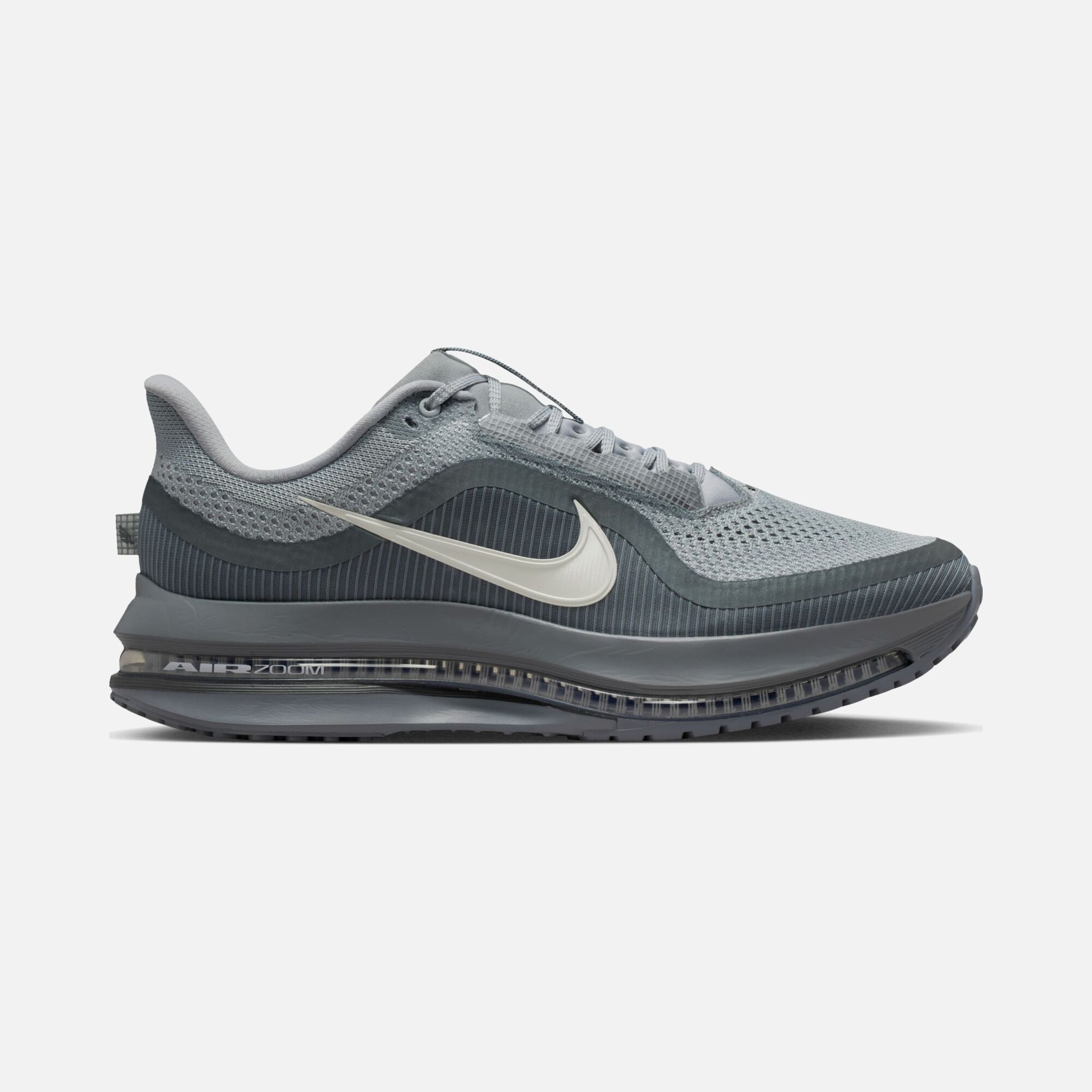 Nike Pegasus Premium Erkek Koşu Ayakkabısı