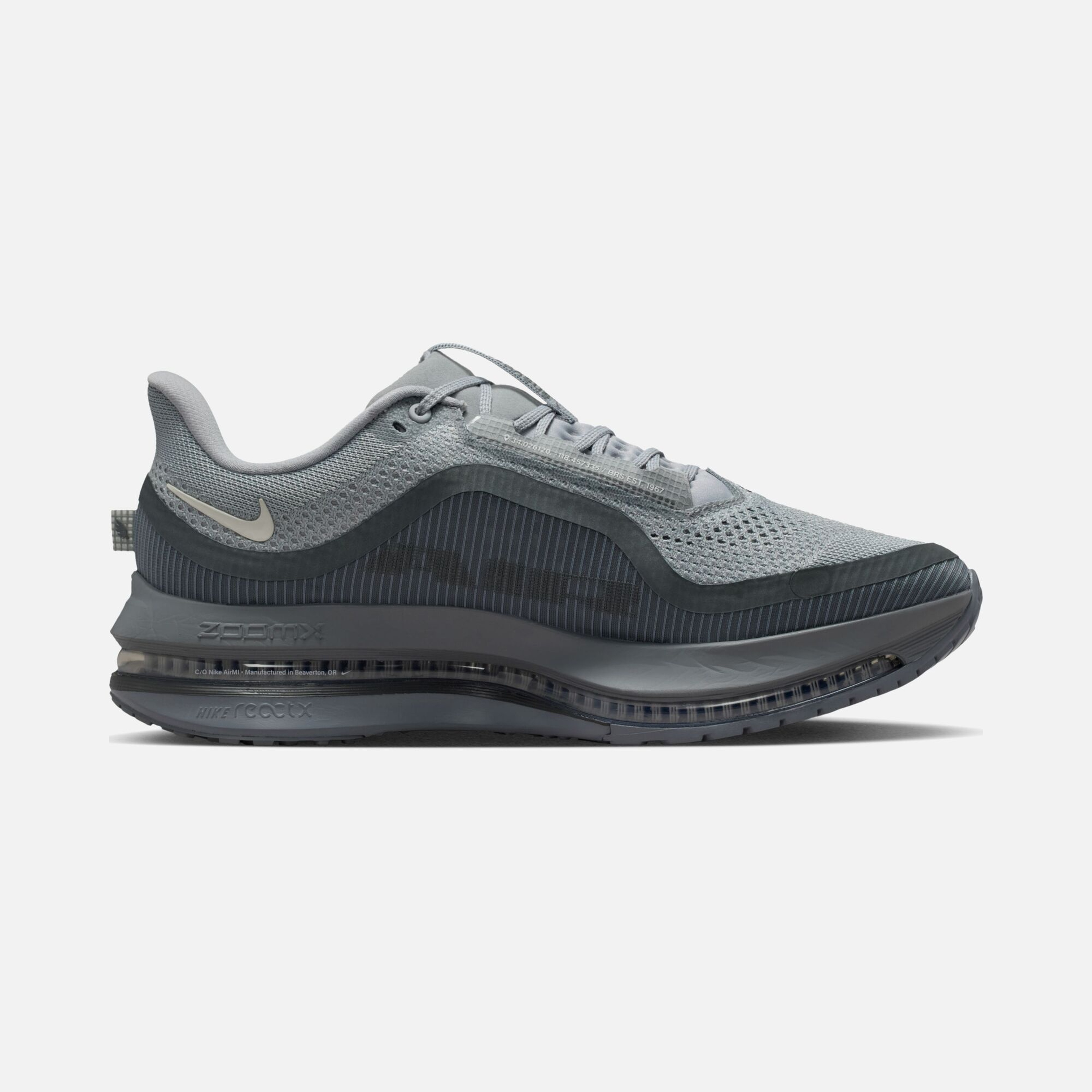 Nike Pegasus Premium Erkek Koşu Ayakkabısı