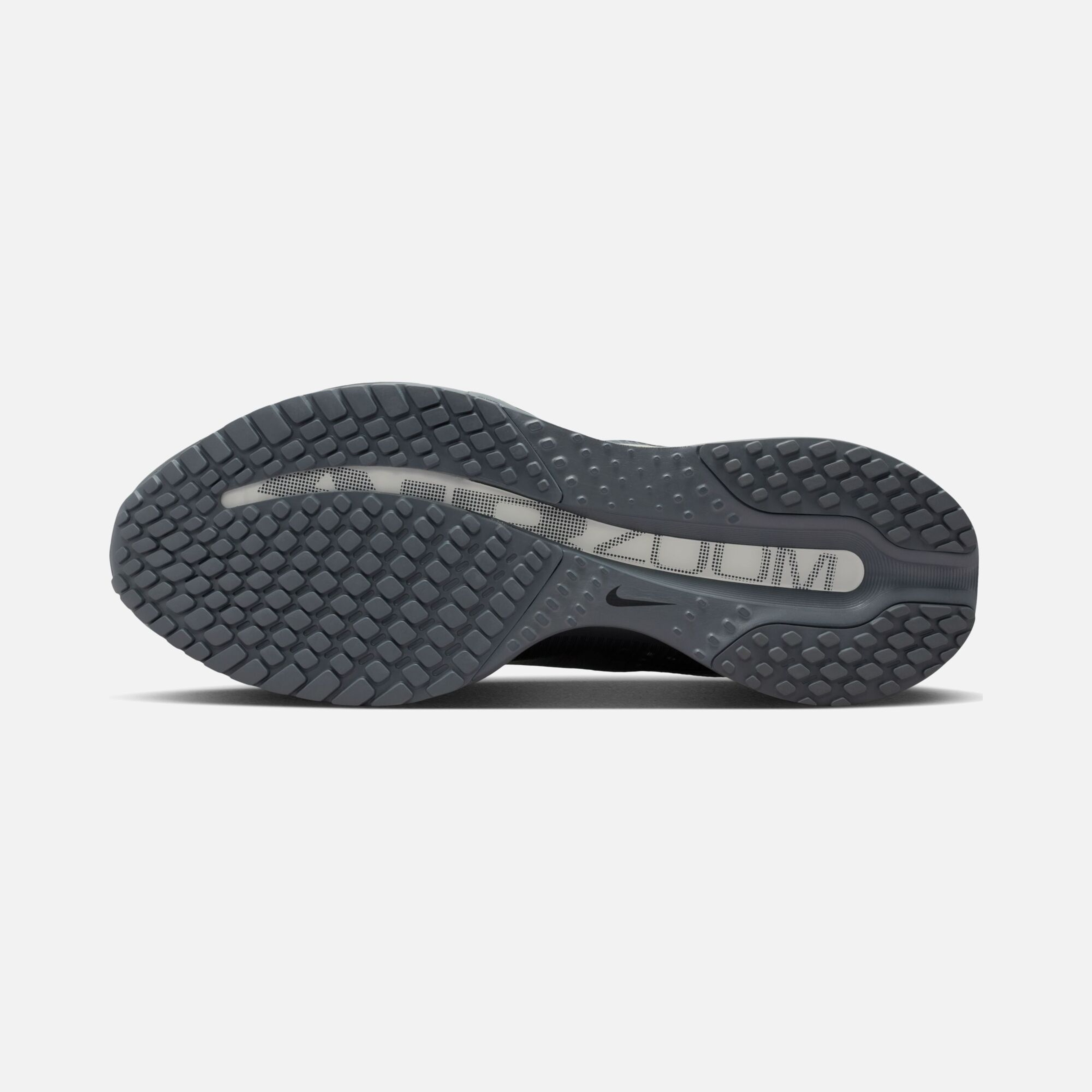 Nike Pegasus Premium Erkek Koşu Ayakkabısı