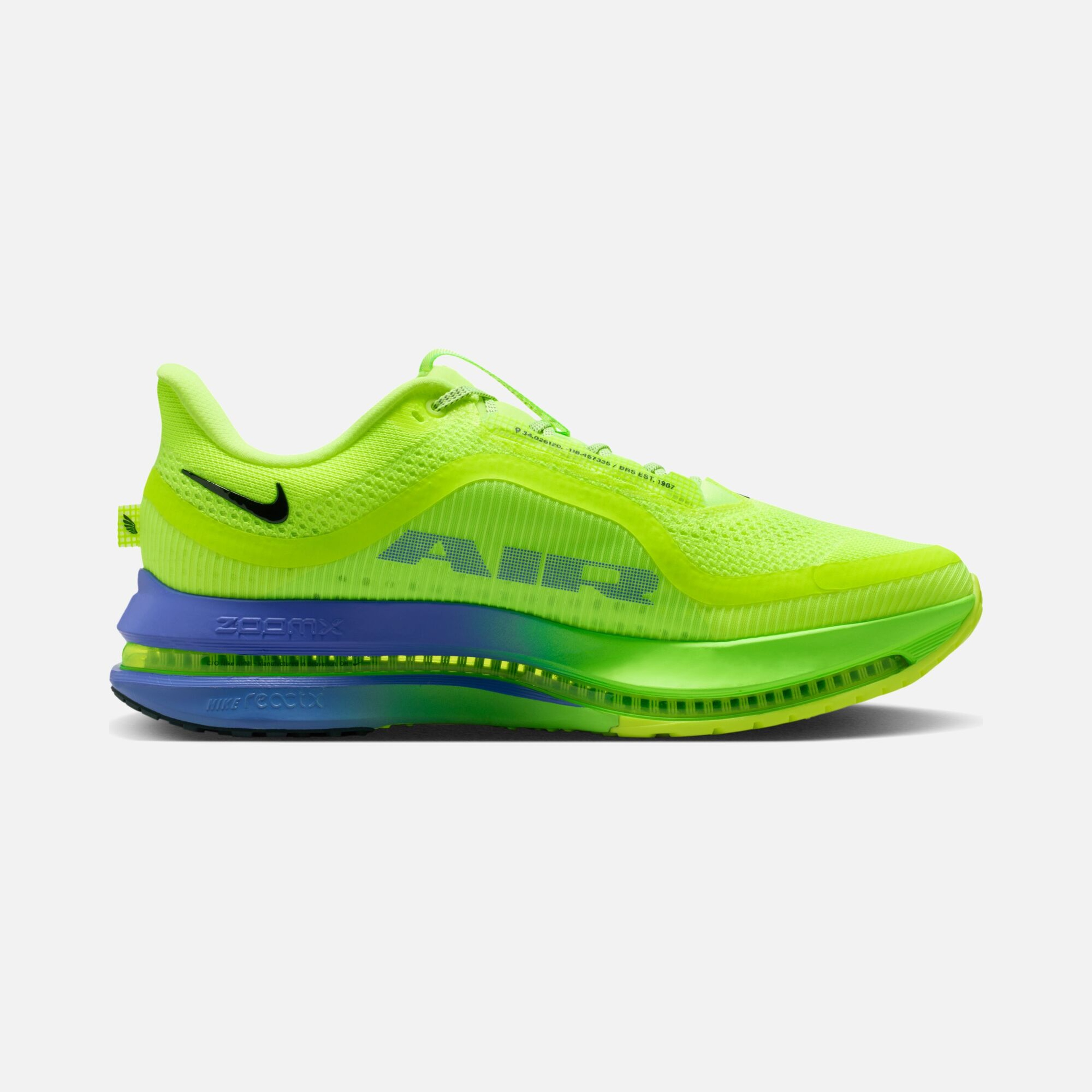 Nike Pegasus Premium Erkek Koşu Ayakkabısı