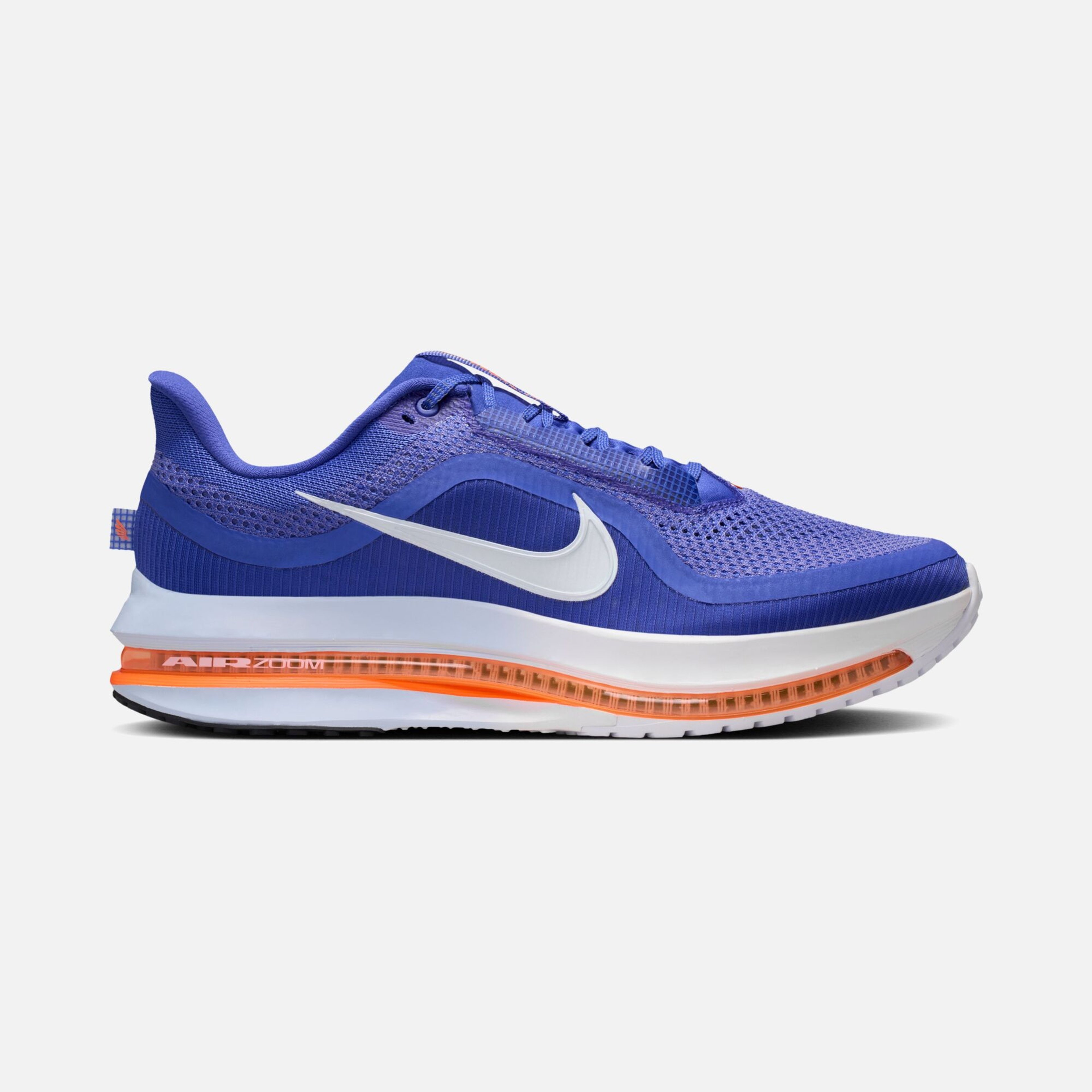 Nike Pegasus Premium Erkek Koşu Ayakkabısı