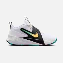 Nike Team Hustle D 12 (Gs) Çocuk Spor Ayakkabı