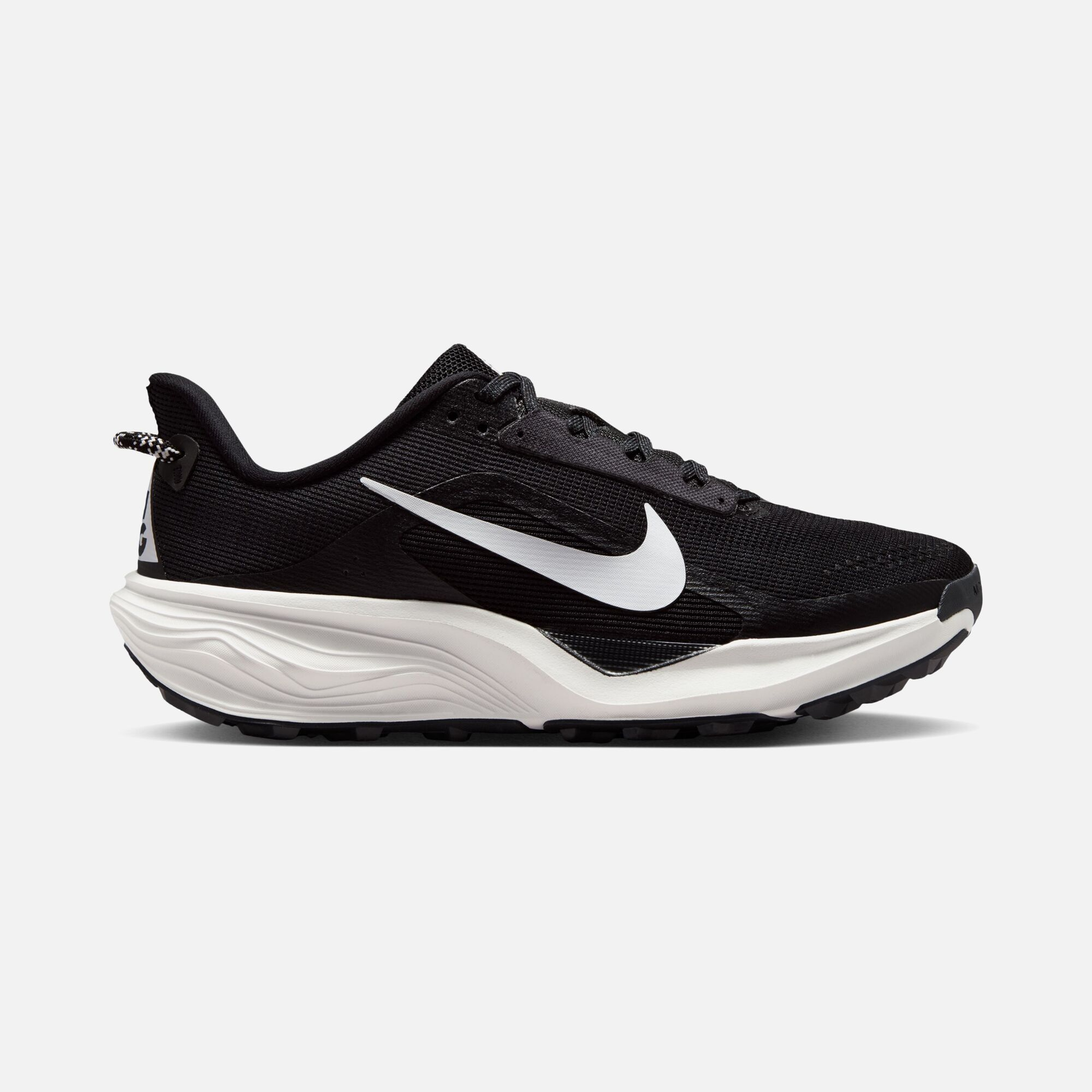 Nike Acg Pegasus Trail Kadın Spor Ayakkabı