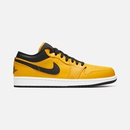 Nike Air Jordan 1 Low CO Erkek Spor Ayakkabı