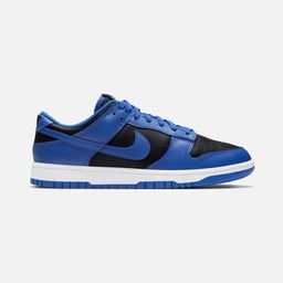 Nike Dunk Low Retro Erkek Spor Ayakkabı