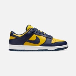 Nike Dunk Low Retro Erkek Spor Ayakkabı