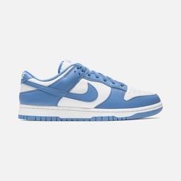 Nike Dunk Low Retro Erkek Spor Ayakkabı