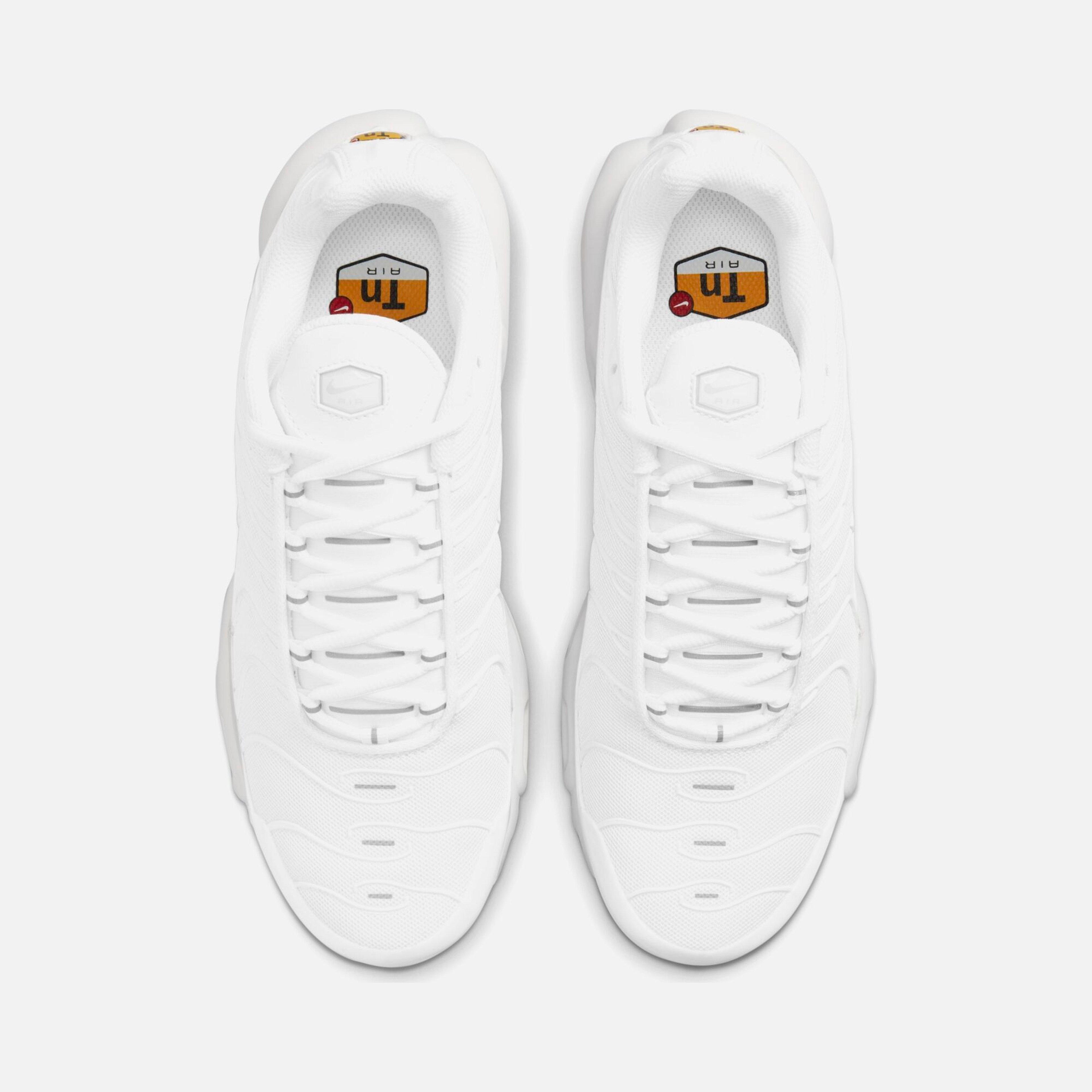Nike Air Max Plus Kadın Spor Ayakkabı