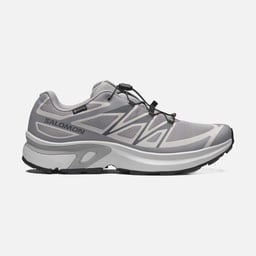 Salomon Xt-Evr GTX Erkek Spor Ayakkabı