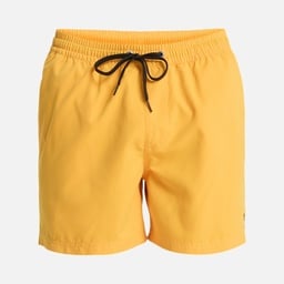 Quiksilver Everyday Solid Volley 15 Erkek Şort Mayo
