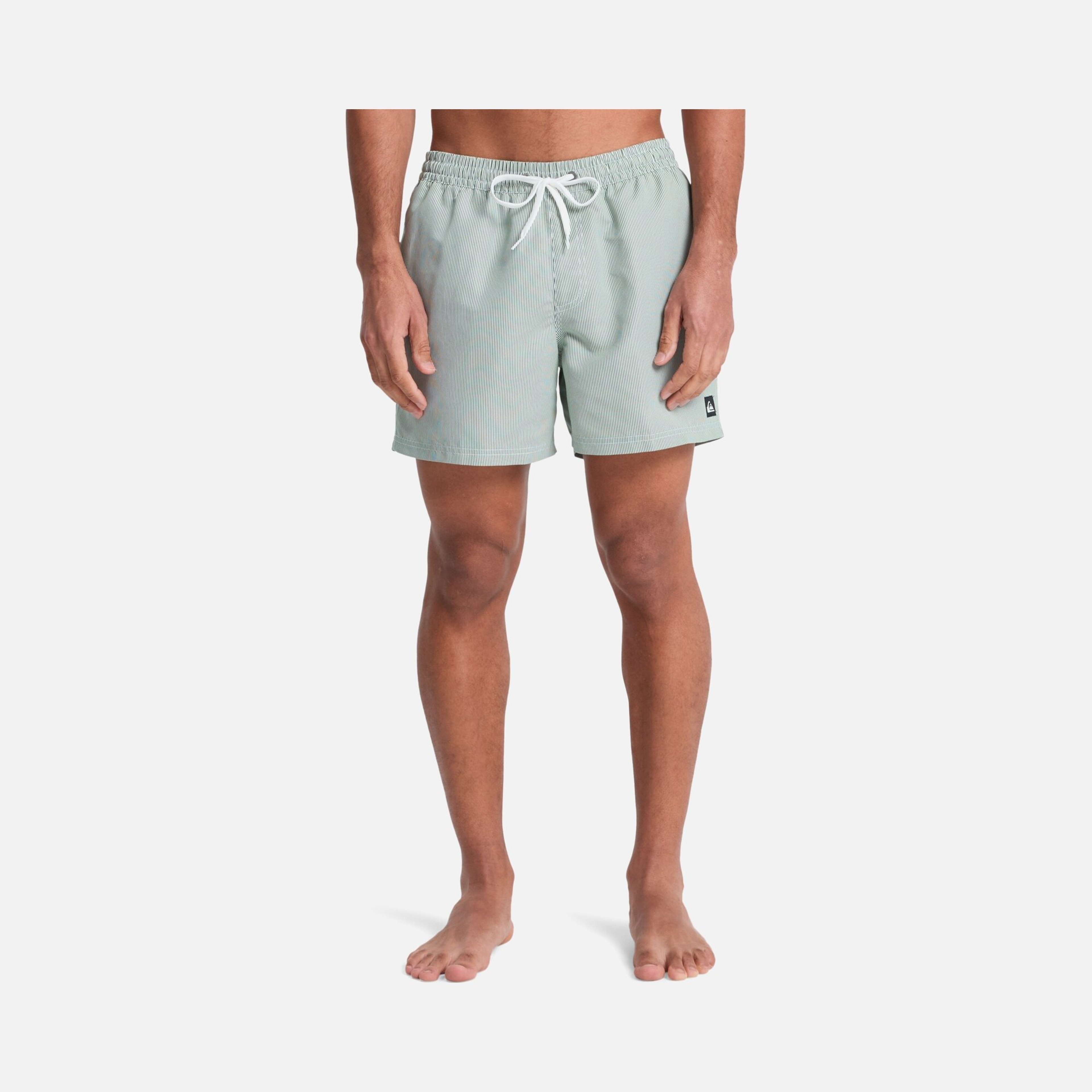 Quiksilver Everyday Deluxe Volley 15 Erkek Şort Mayo