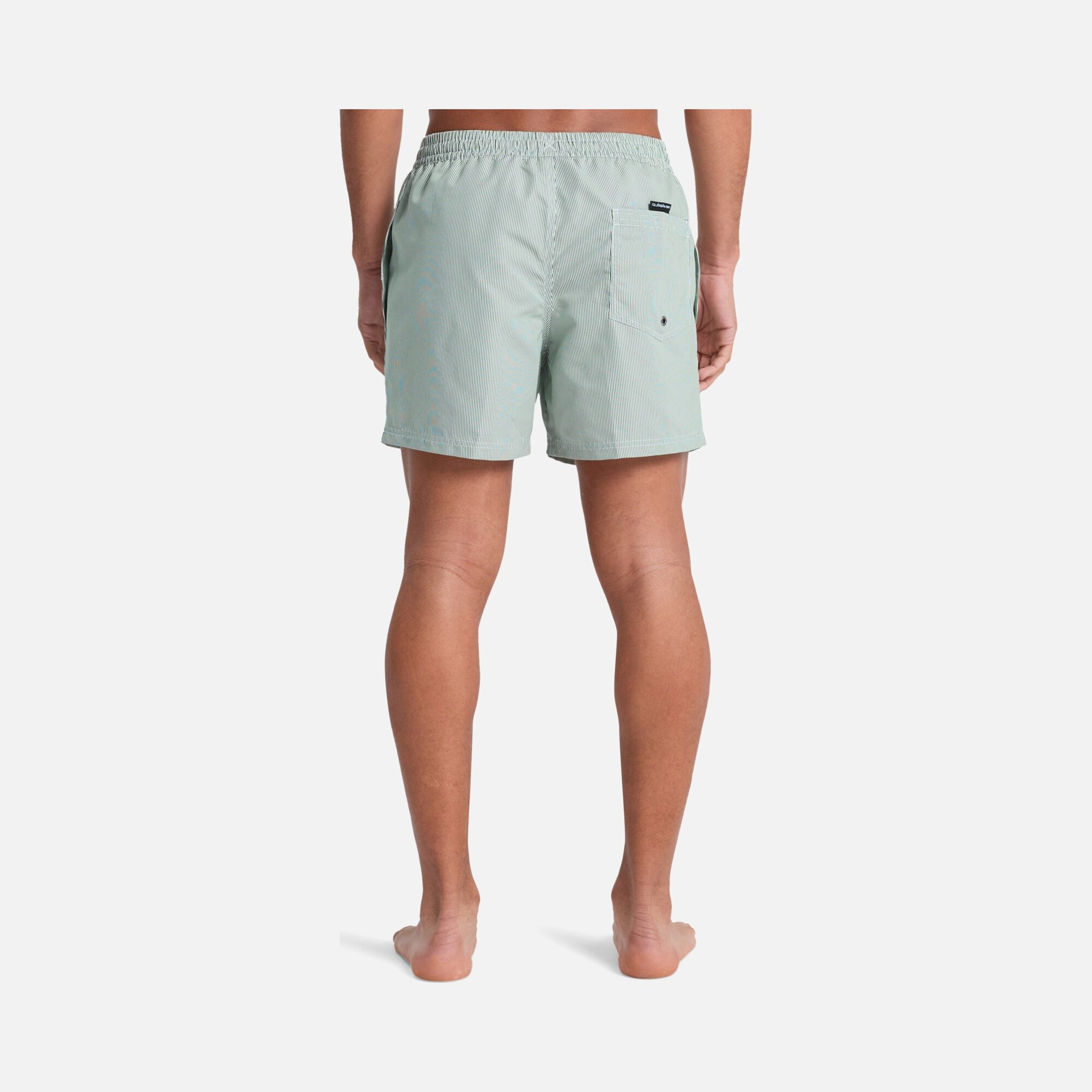 Quiksilver Everyday Deluxe Volley 15 Erkek Şort Mayo