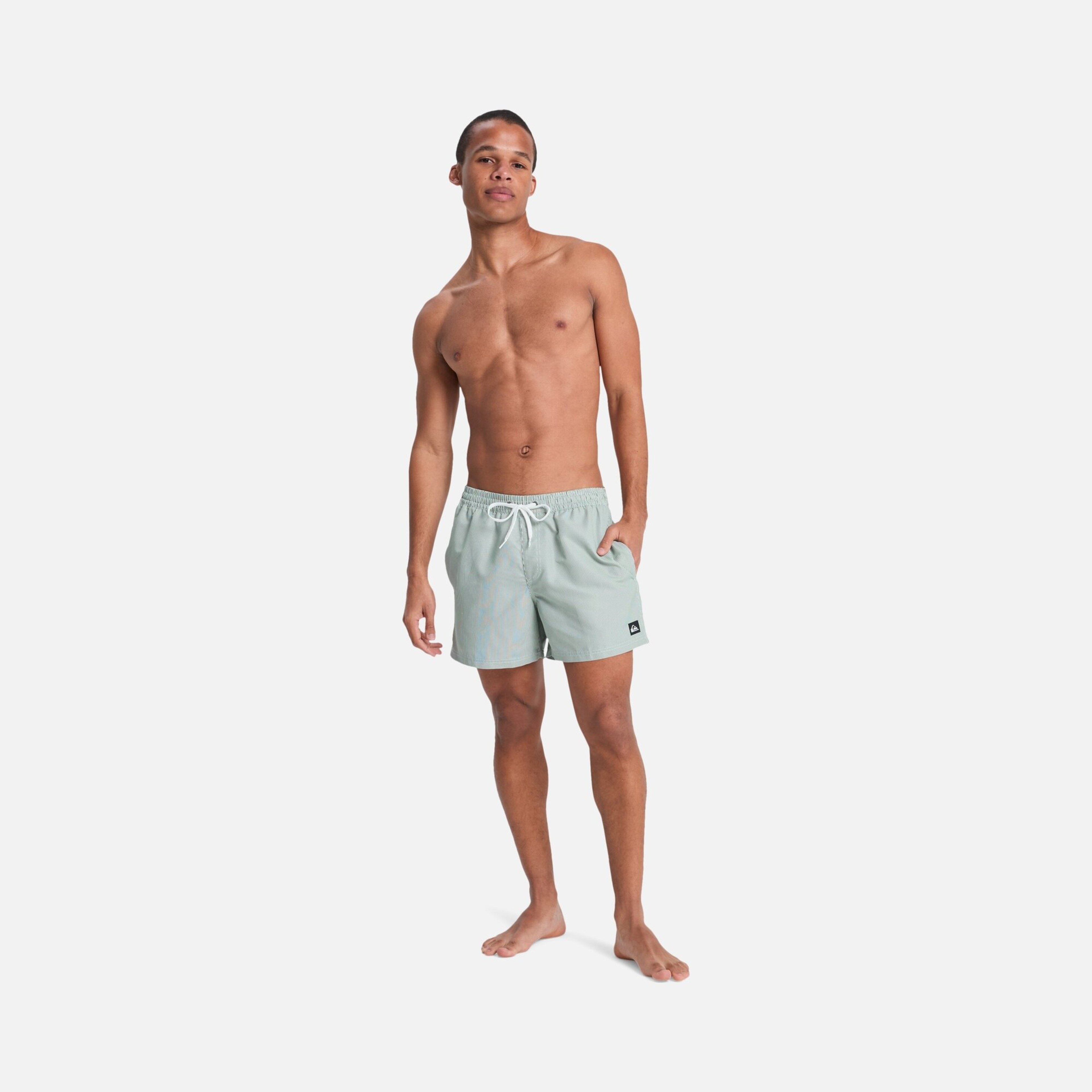 Quiksilver Everyday Deluxe Volley 15 Erkek Şort Mayo