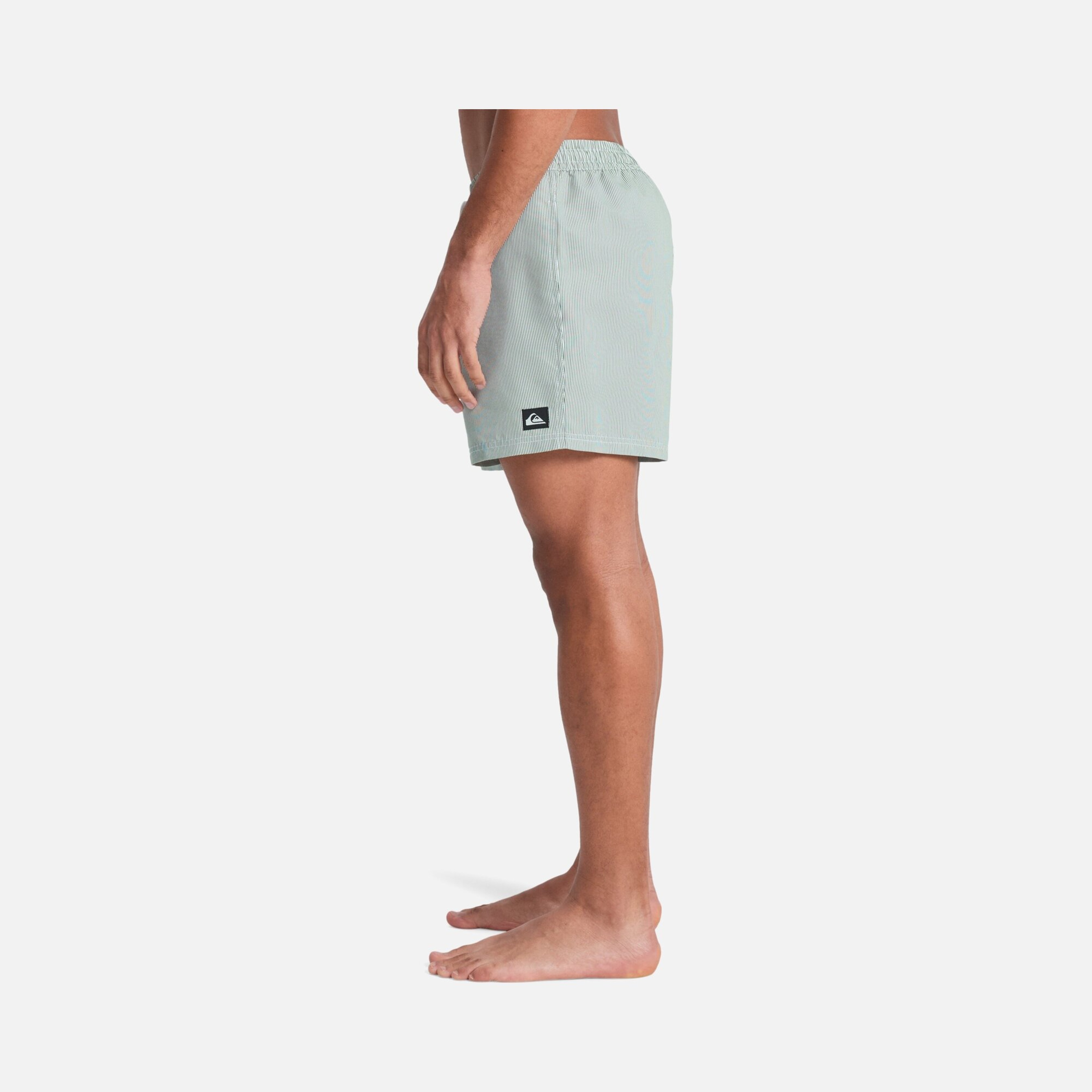 Quiksilver Everyday Deluxe Volley 15 Erkek Şort Mayo