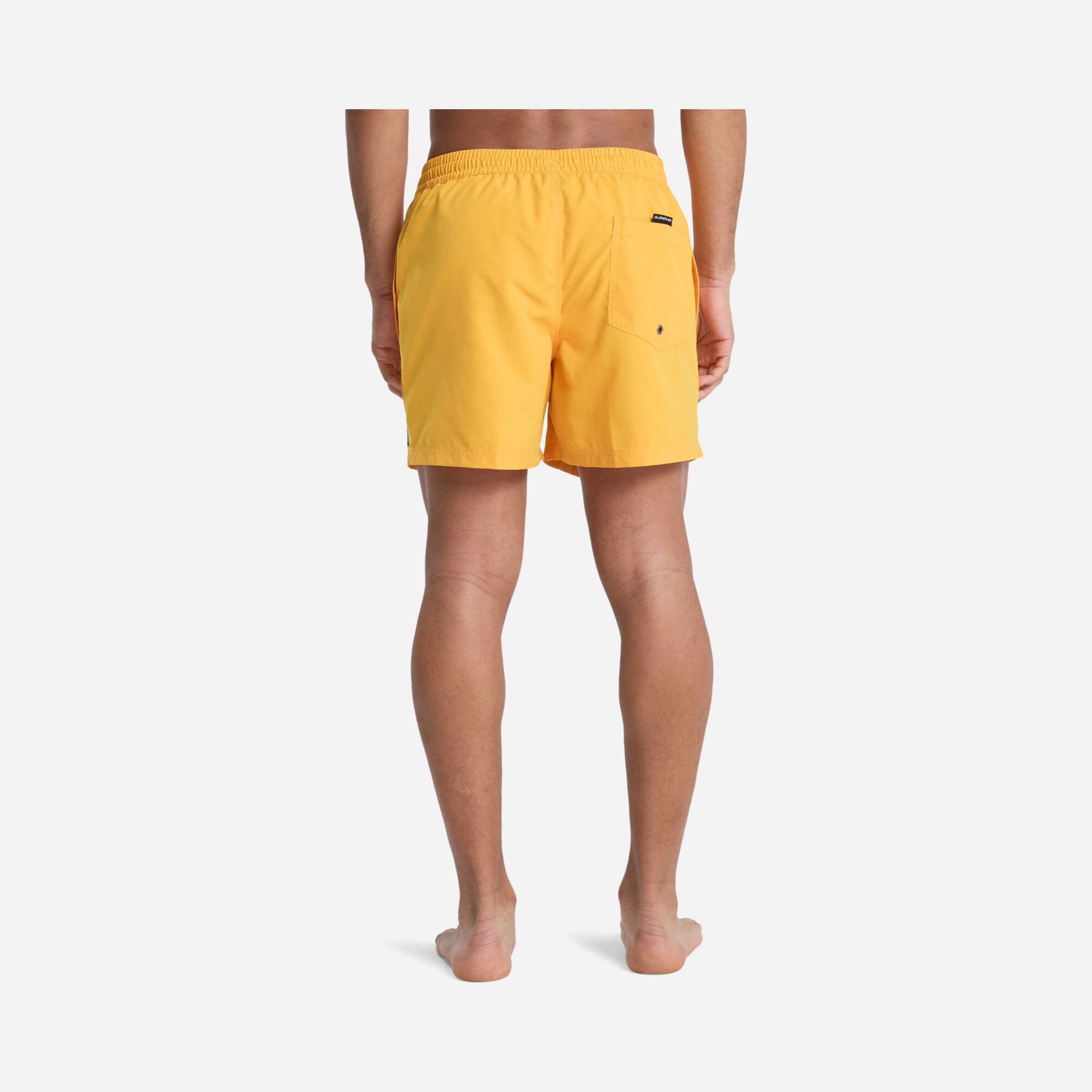 Quiksilver Everyday Solid Volley 15 Erkek Şort Mayo