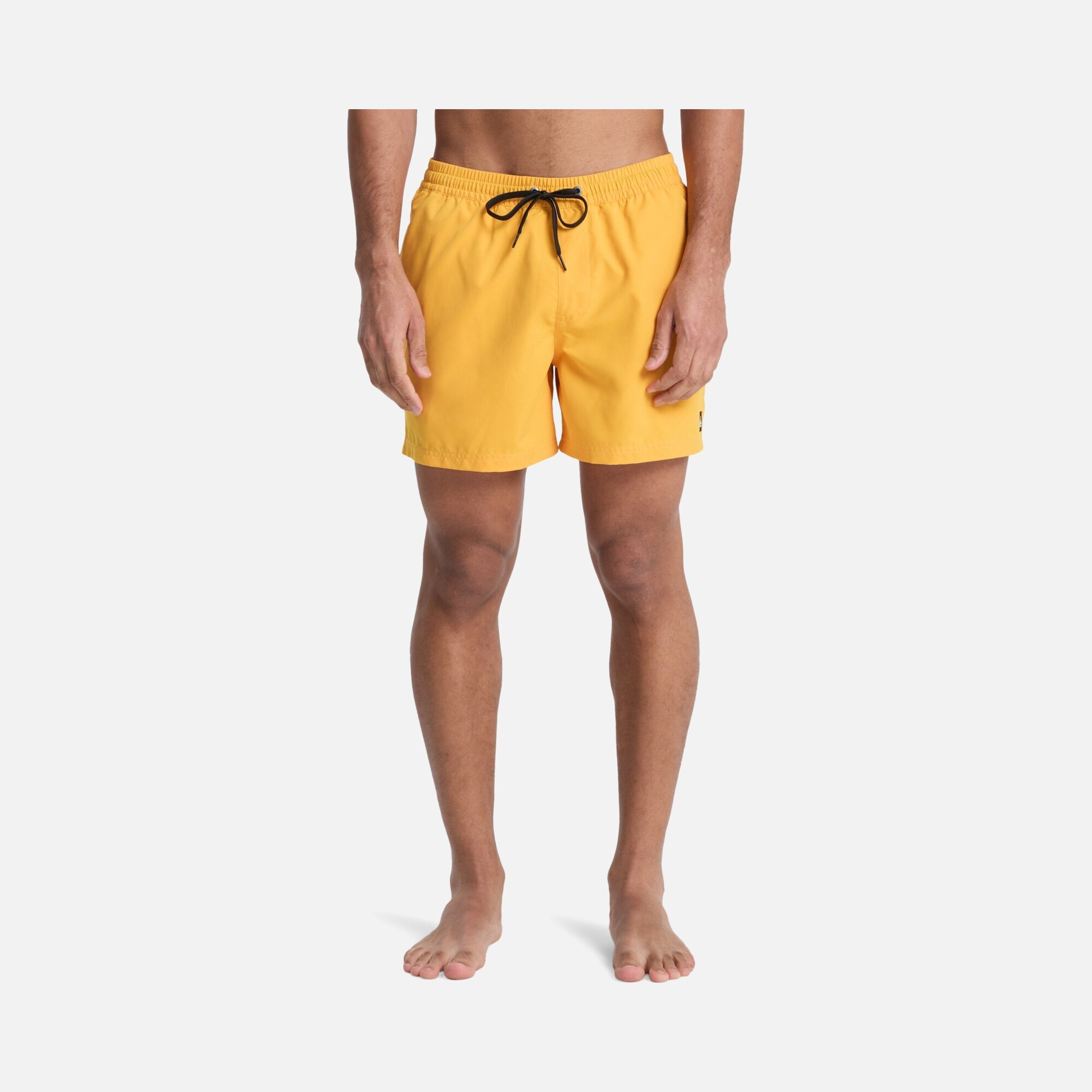 Quiksilver Everyday Solid Volley 15 Erkek Şort Mayo