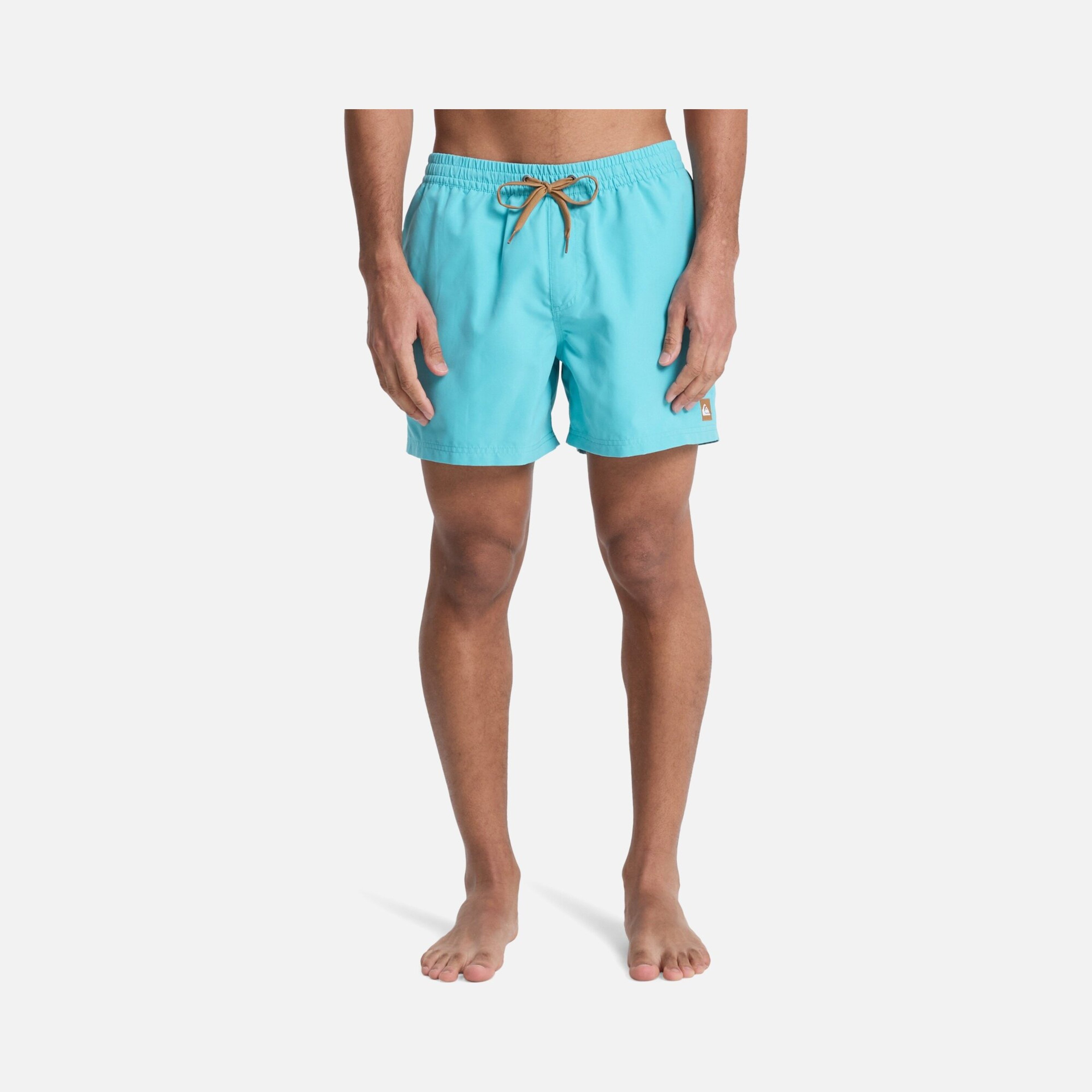 Quiksilver Everyday Solid Volley 15 Erkek Şort Mayo