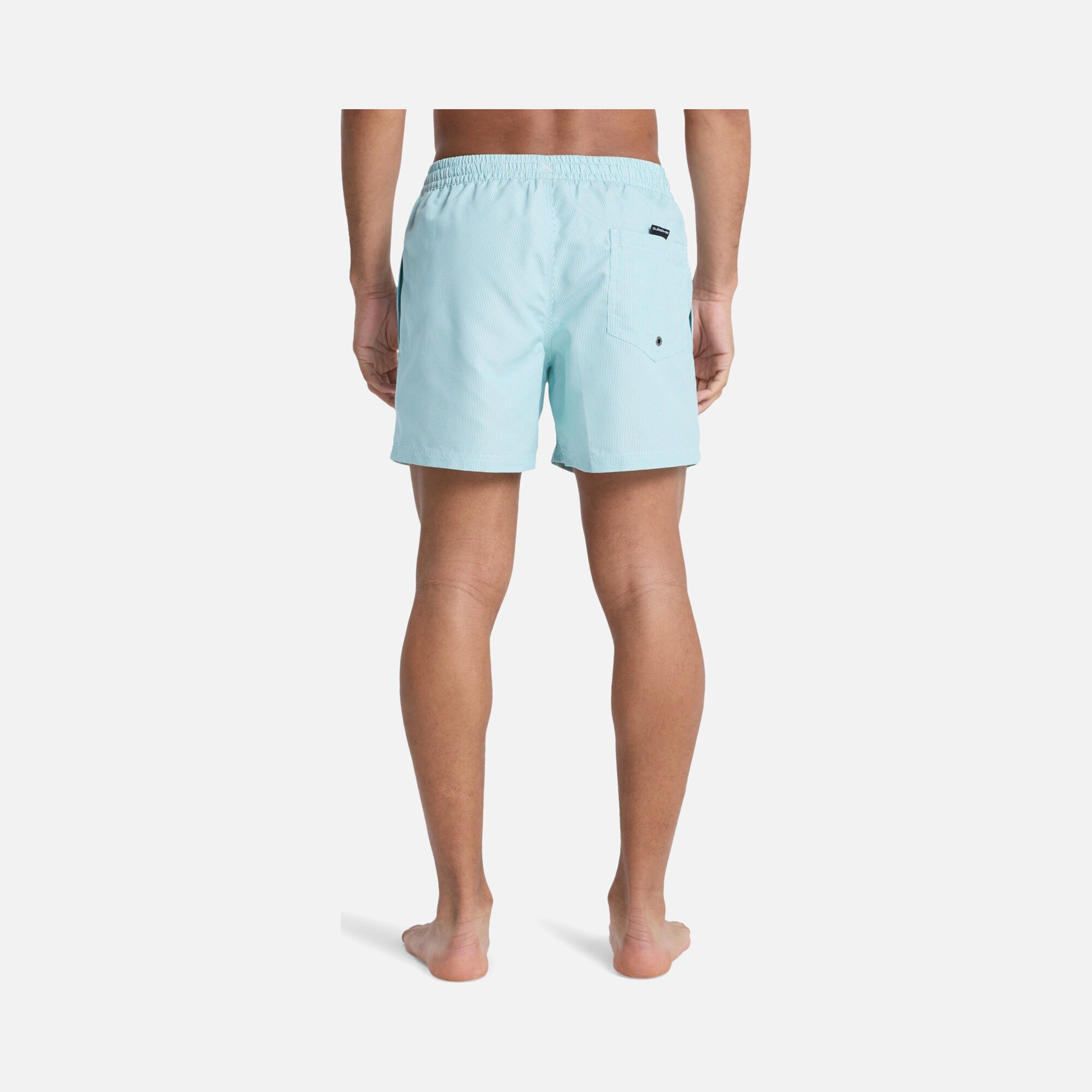Quiksilver Everyday Deluxe Volley 15 Erkek Şort Mayo