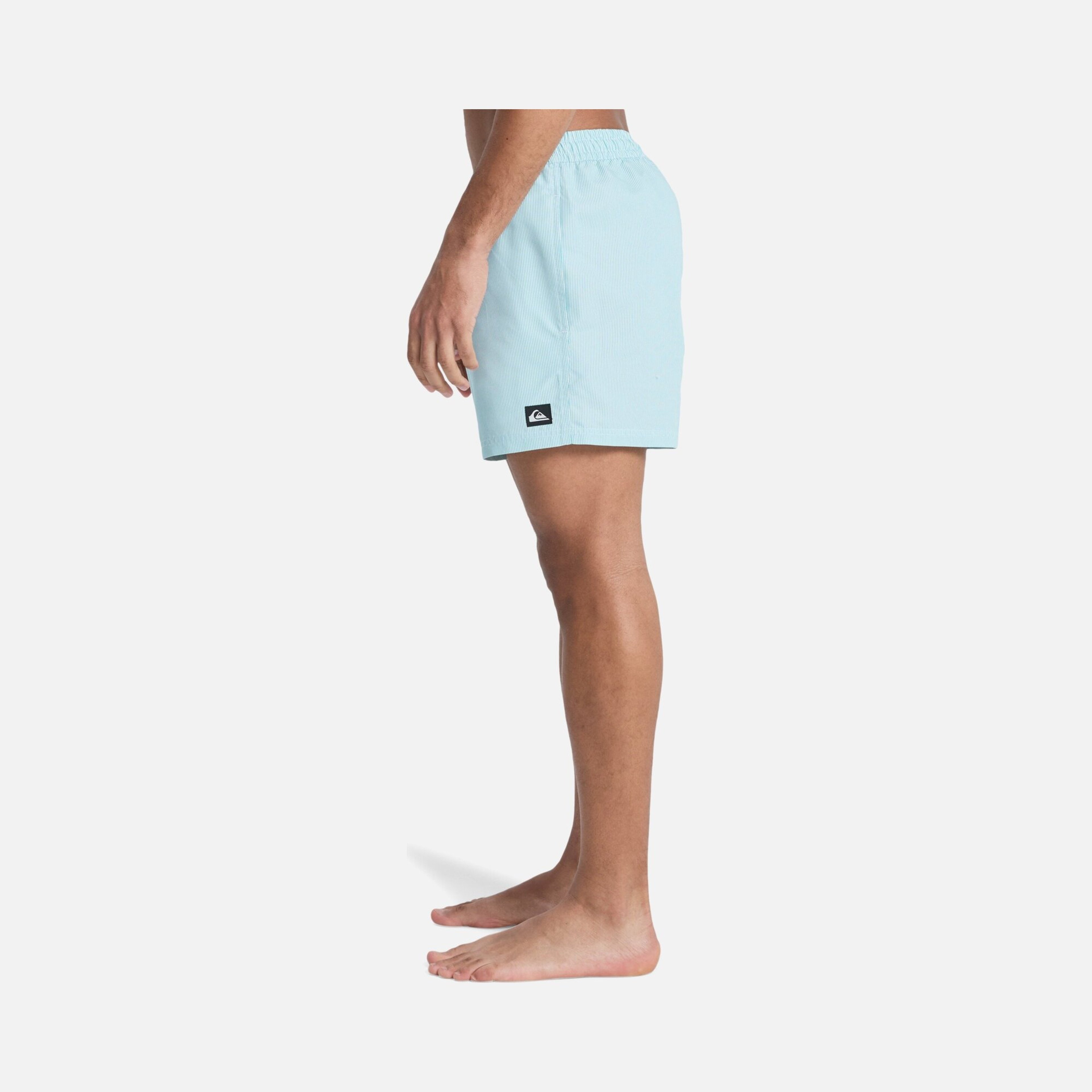 Quiksilver Everyday Deluxe Volley 15 Erkek Şort Mayo