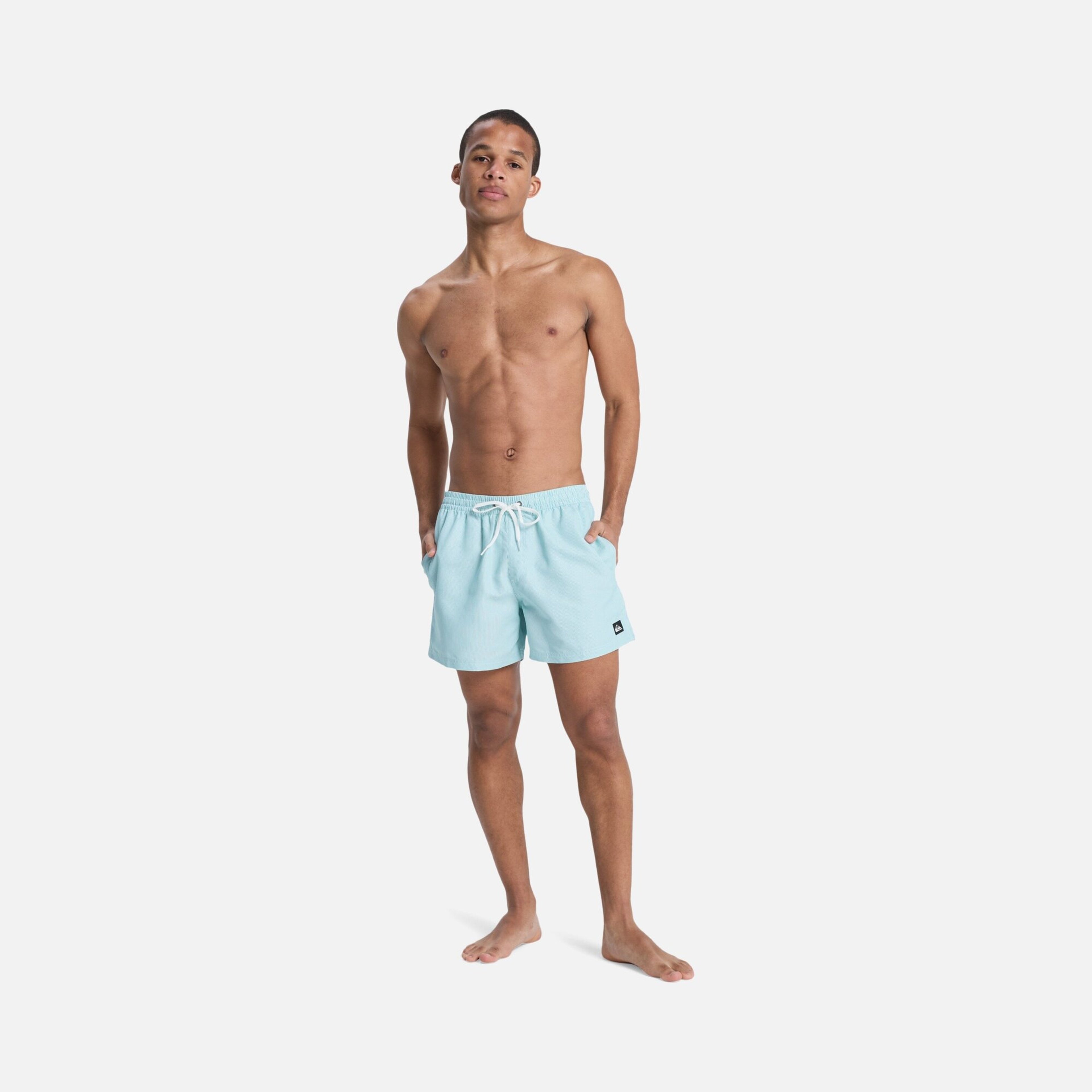 Quiksilver Everyday Deluxe Volley 15 Erkek Şort Mayo