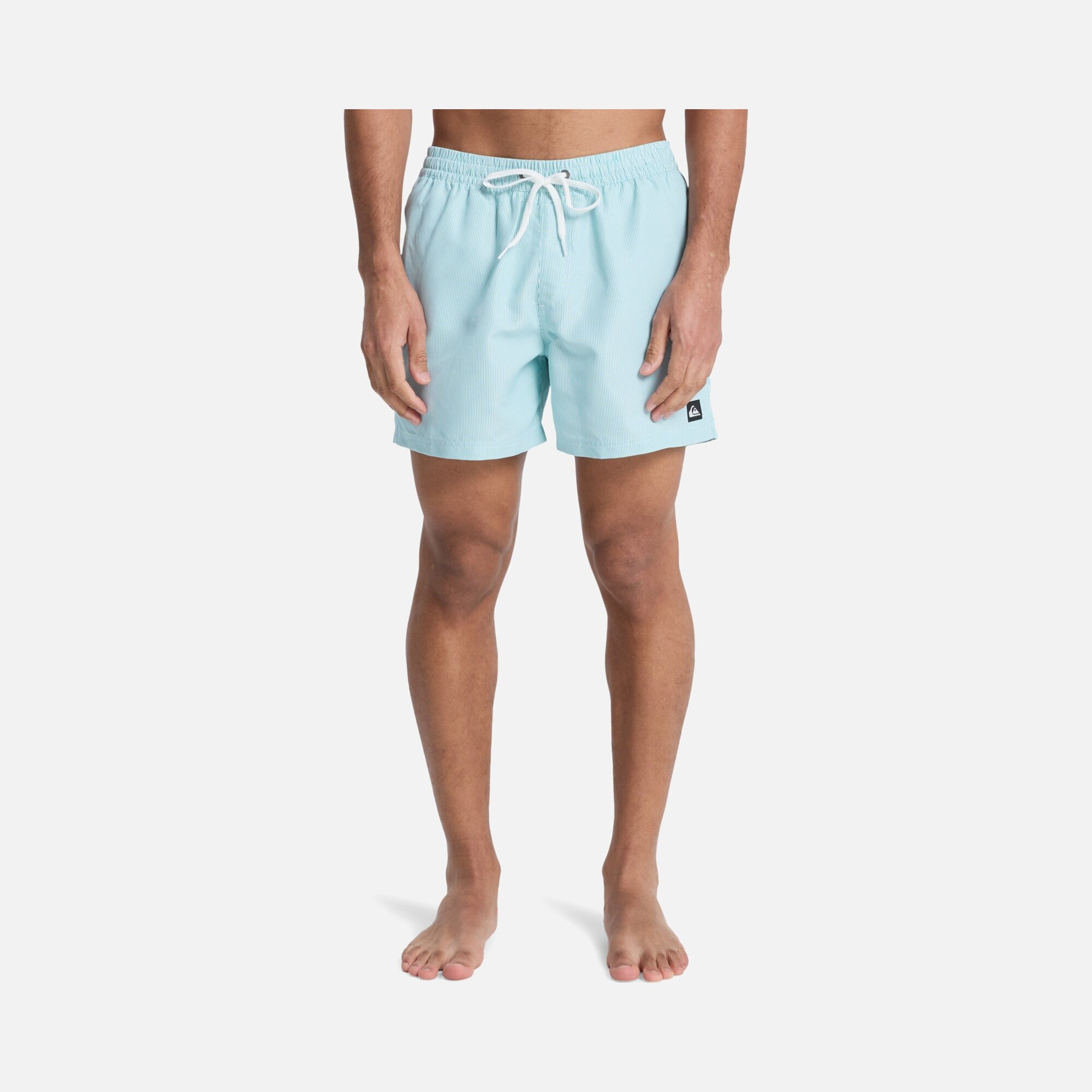 Quiksilver Everyday Deluxe Volley 15 Erkek Şort Mayo