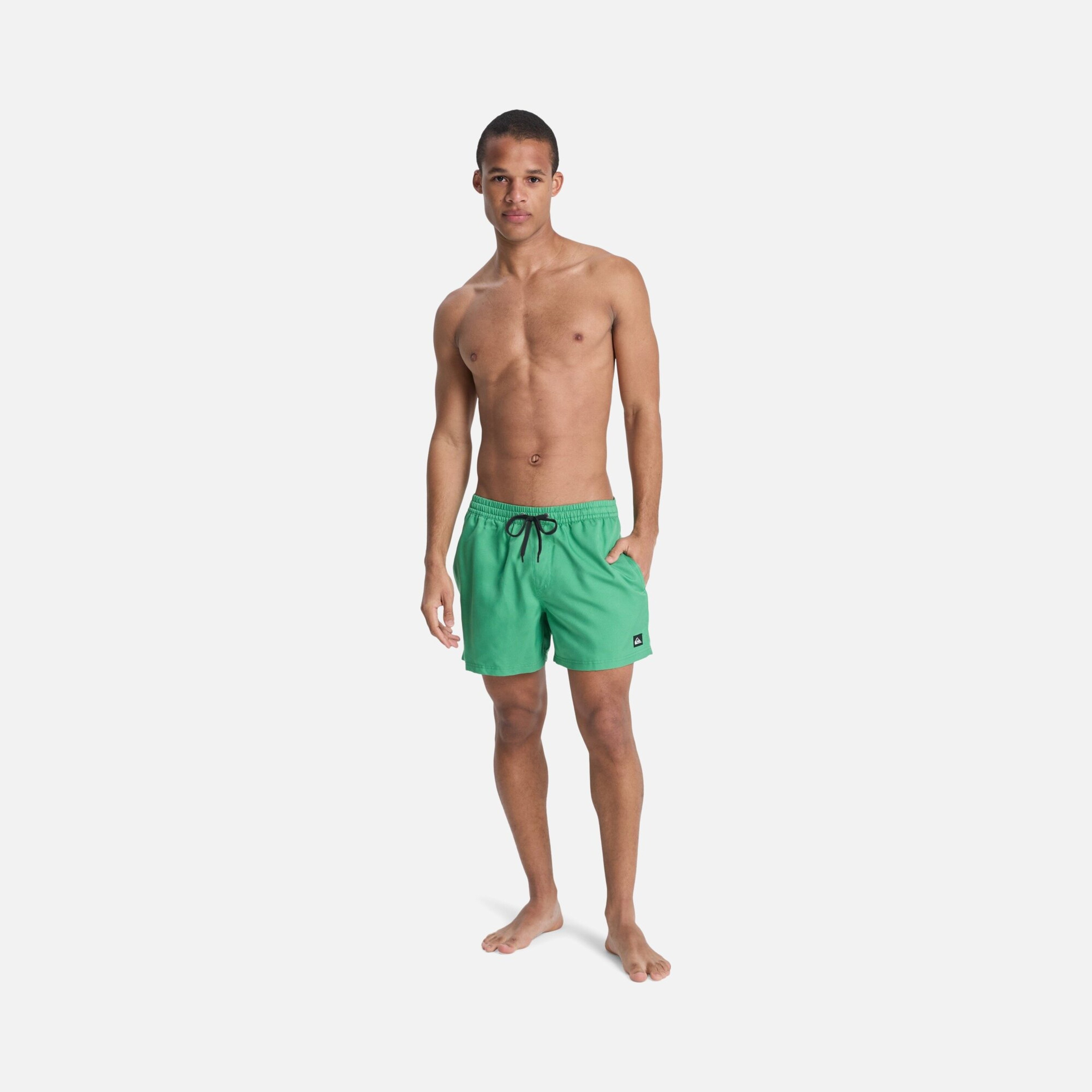 Quiksilver Everyday Deluxe Volley 15 Erkek Şort Mayo