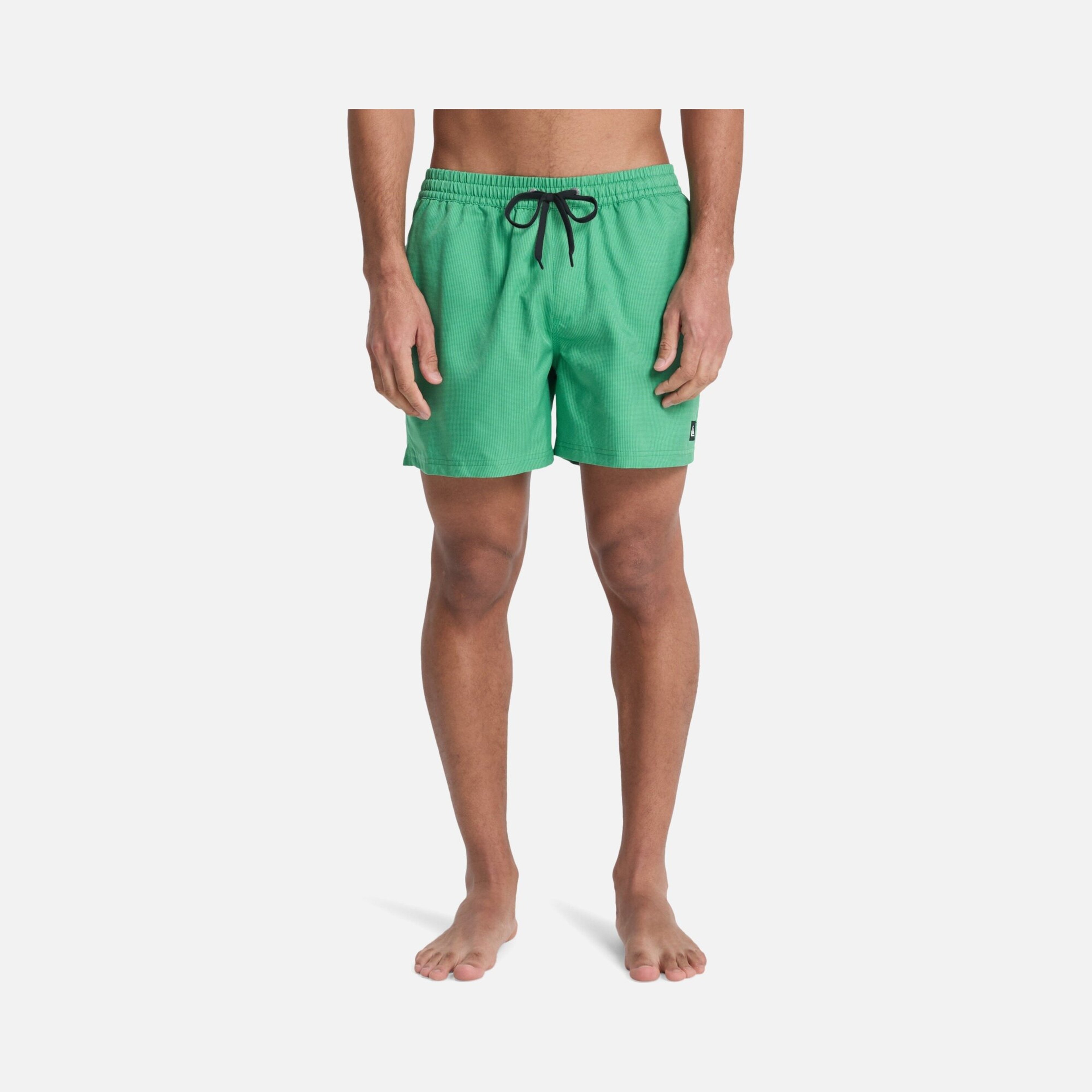 Quiksilver Everyday Deluxe Volley 15 Erkek Şort Mayo